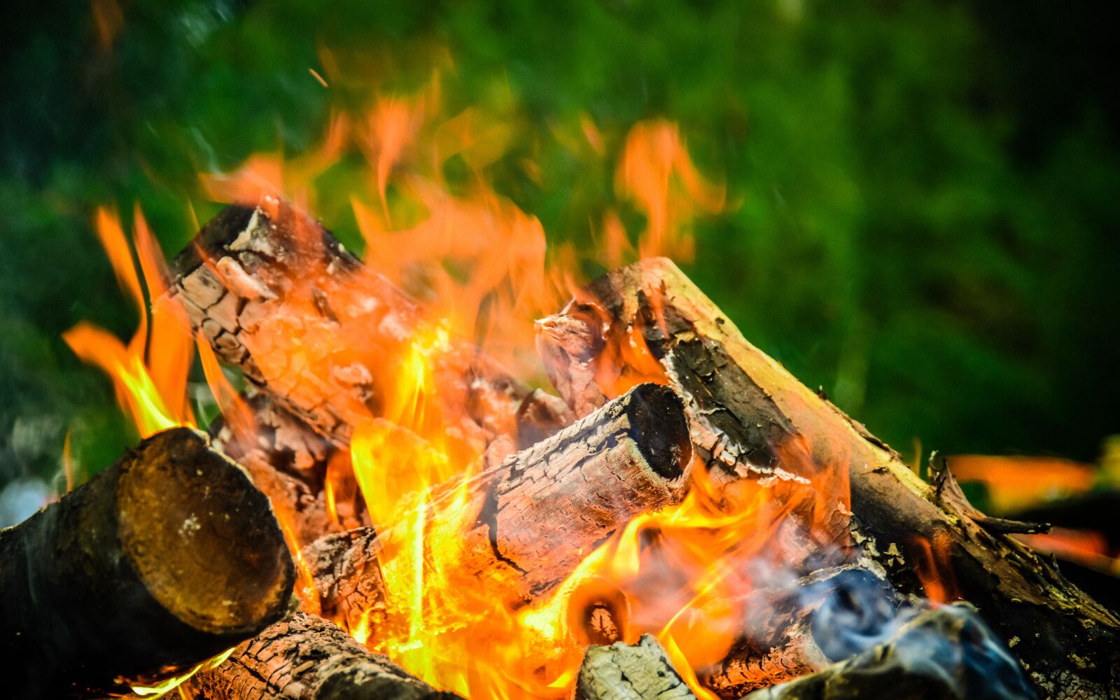Nikon D800 sample photo. Camping, bonfire, ural photography