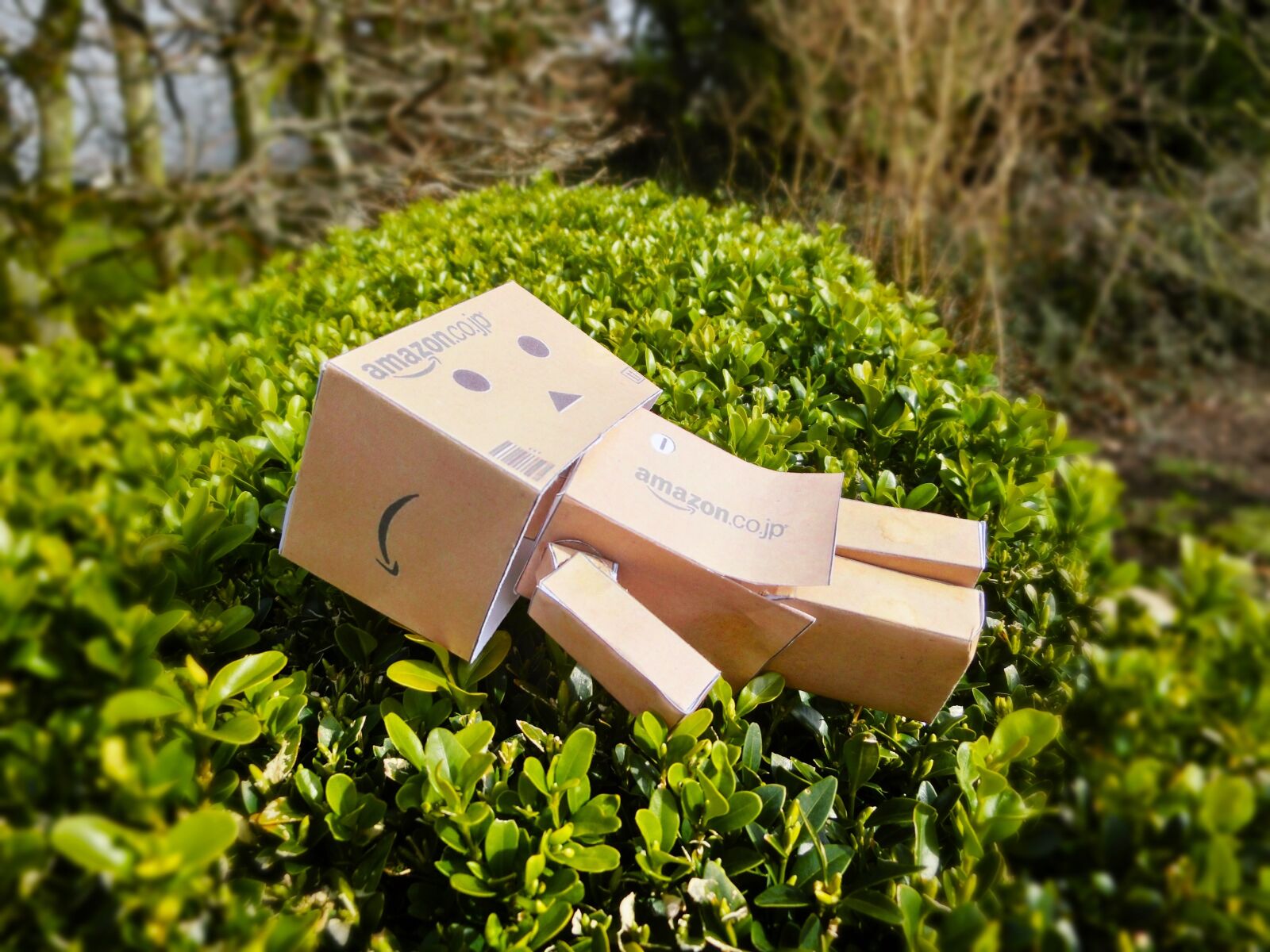 CASIO EX-ZR300 sample photo. Sun, relax, rest photography