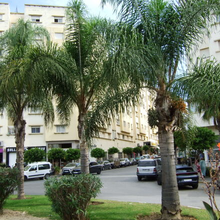 希少動作確認済み】FUJIFILM FINEPIX F20 Fuji FinePix F20 Digital