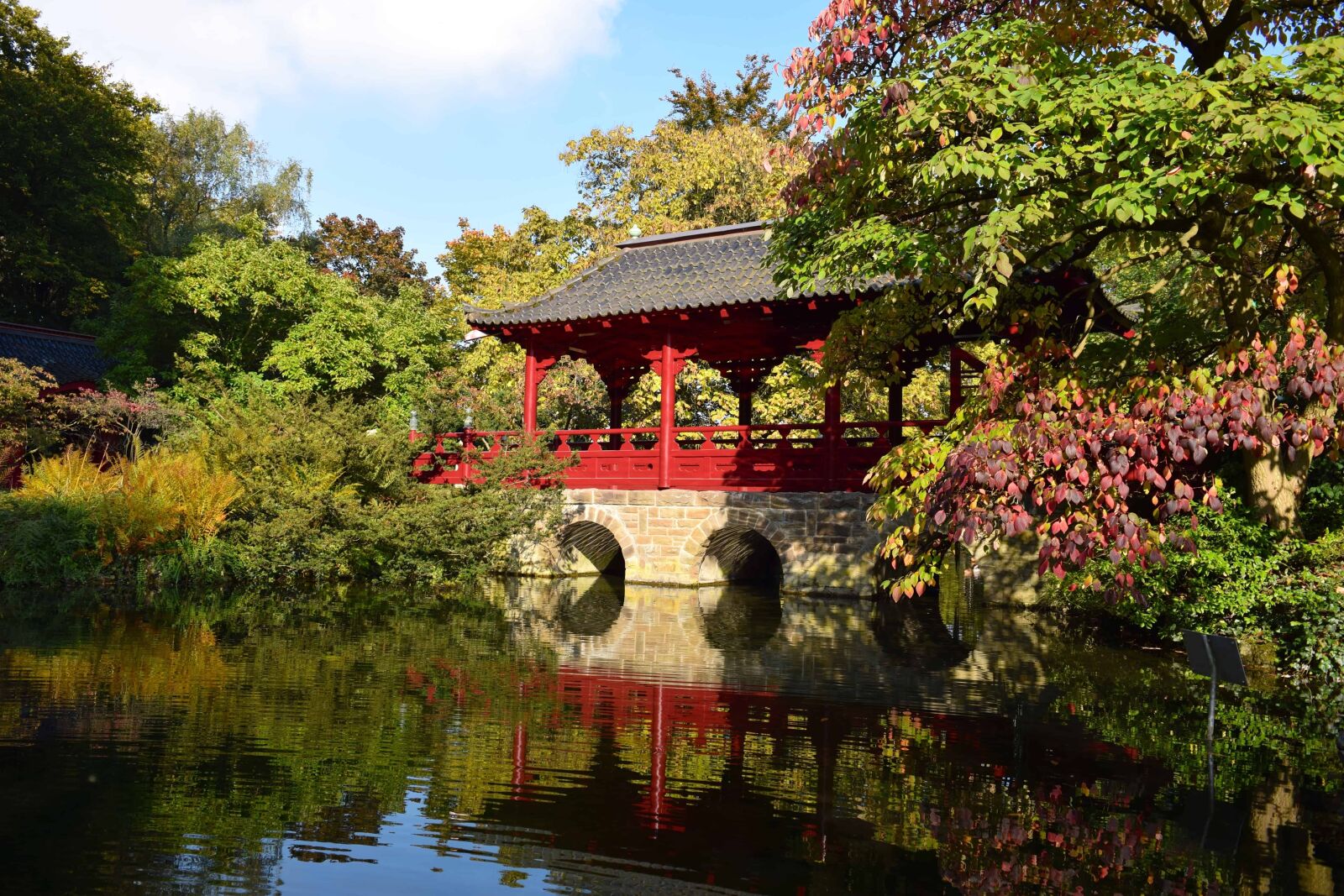 Nikon D3300 sample photo. Garden, water, nature, tree photography