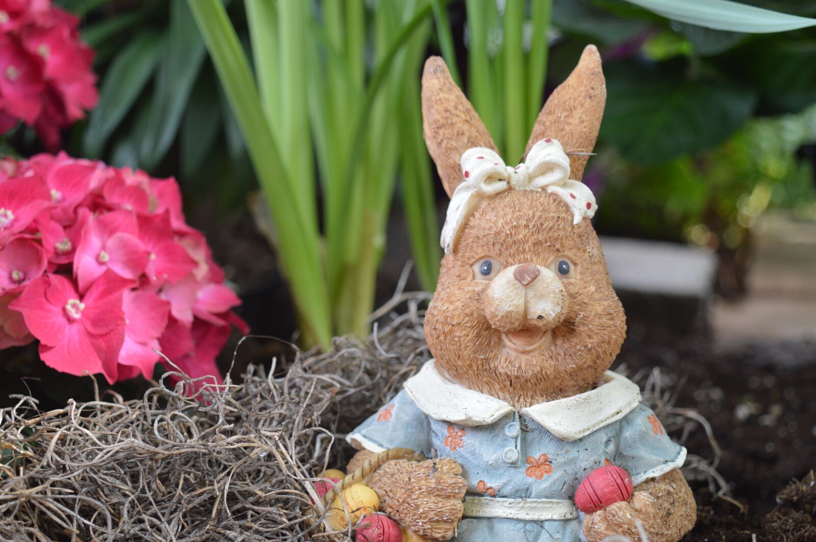 Nikon D3200 sample photo. Rabbit, bunny, hare photography