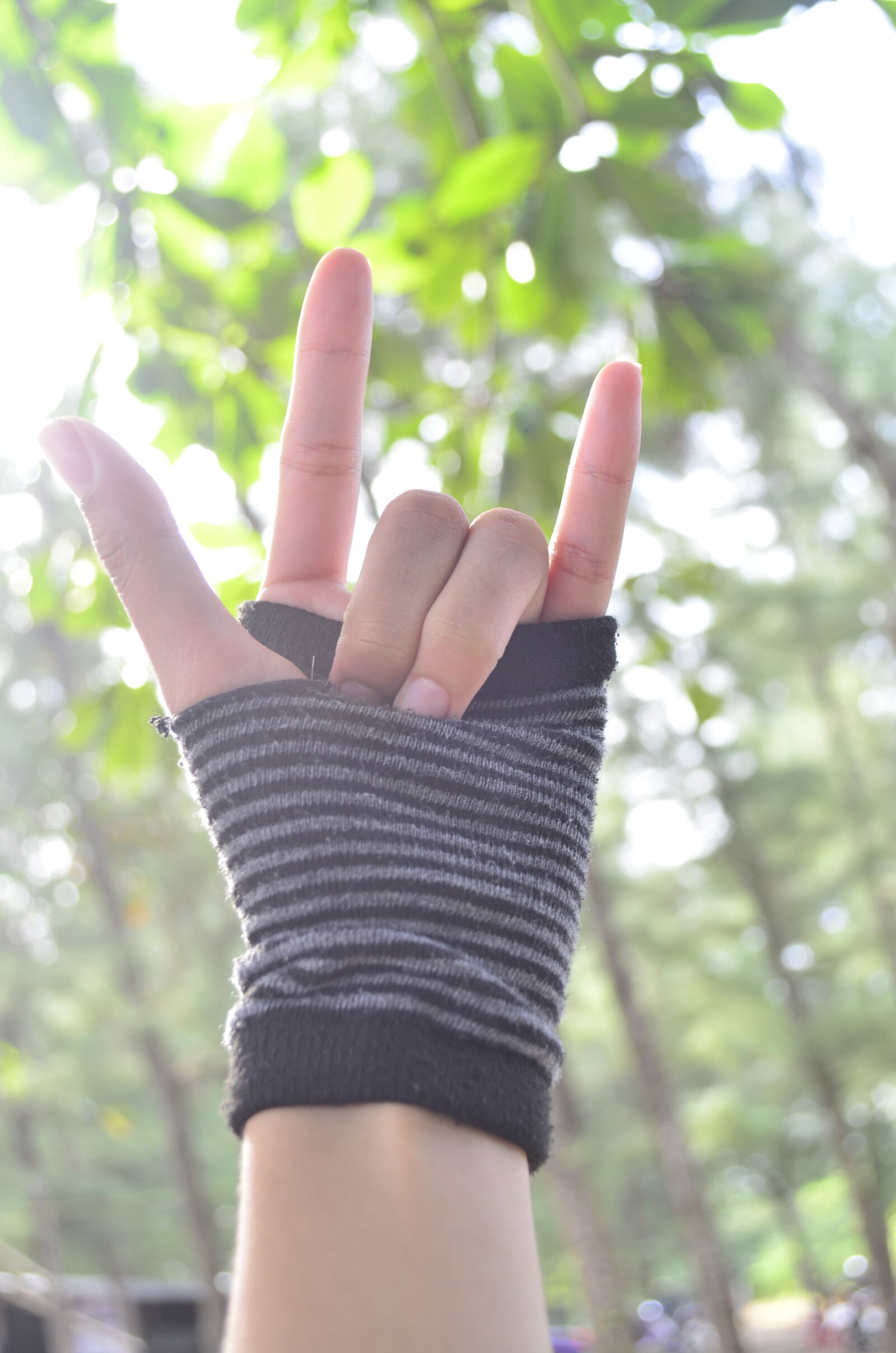 Nikon D5100 sample photo