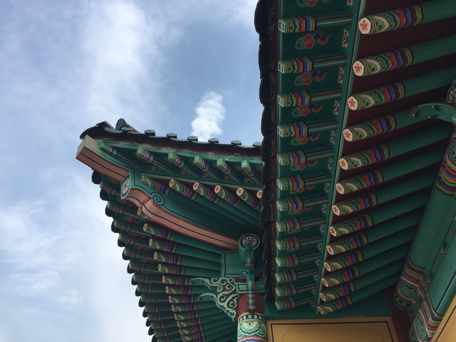 iPhone 6 Plus back camera 4.15mm f/2.2 sample photo. Ganglung, korea photography