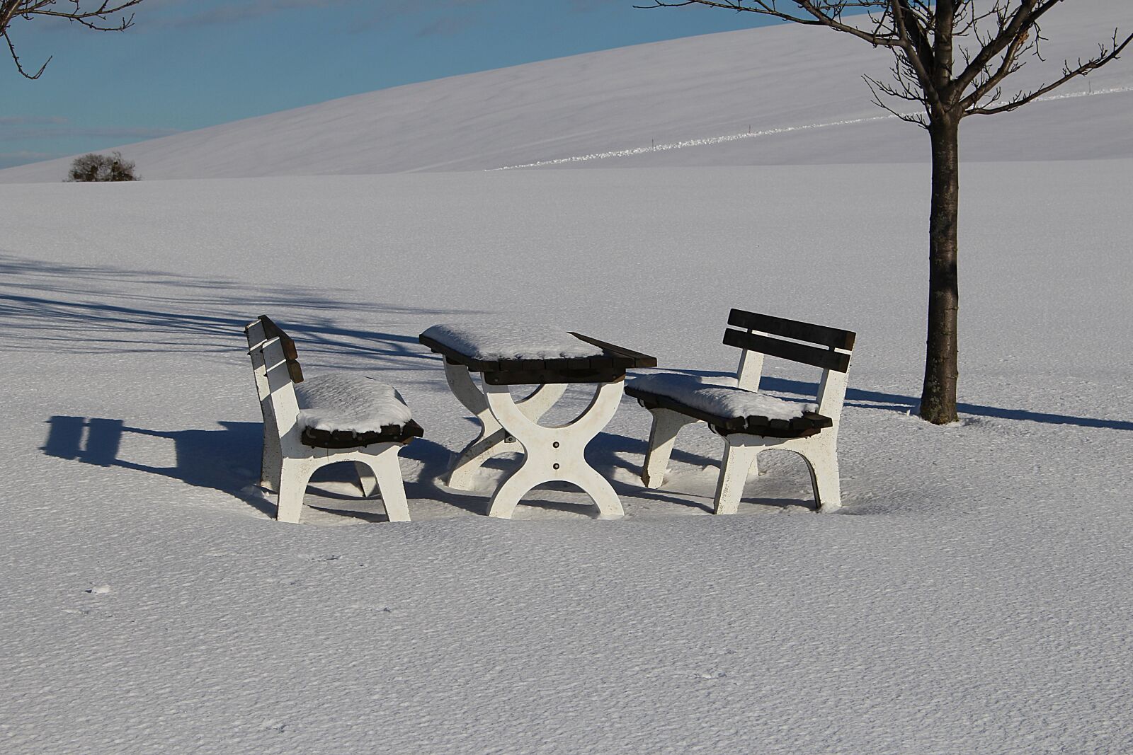 Canon EOS 100D (EOS Rebel SL1 / EOS Kiss X7) sample photo. Wintry, snow, snowy photography
