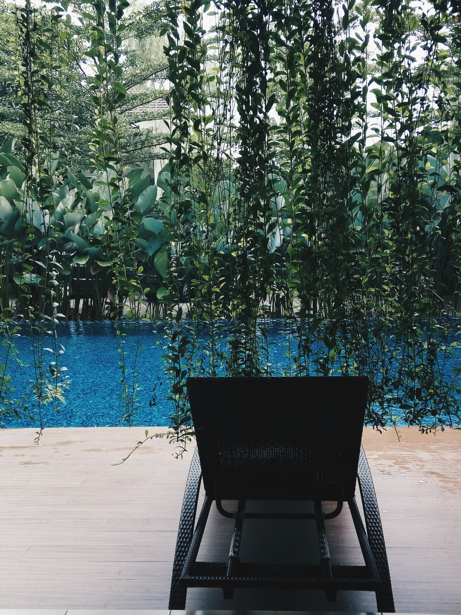 Xiaomi HM Note 2 sample photo. Blue, water, chair, green photography