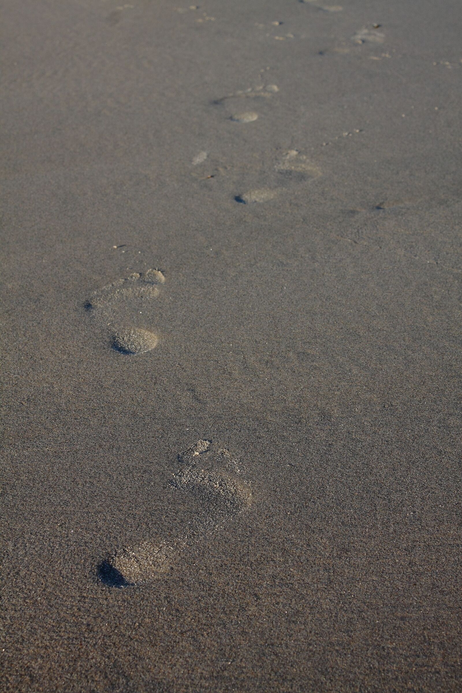 Canon EOS 50D sample photo. Sand, footprint, beach photography