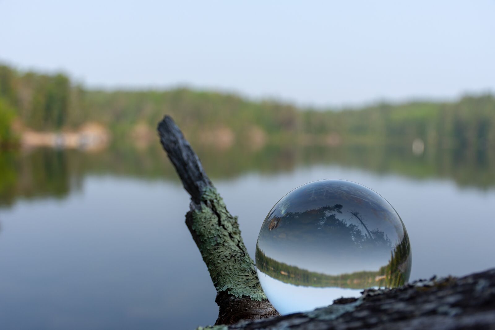 Nikon D7200 sample photo. Lensball, outdoor, nature photography
