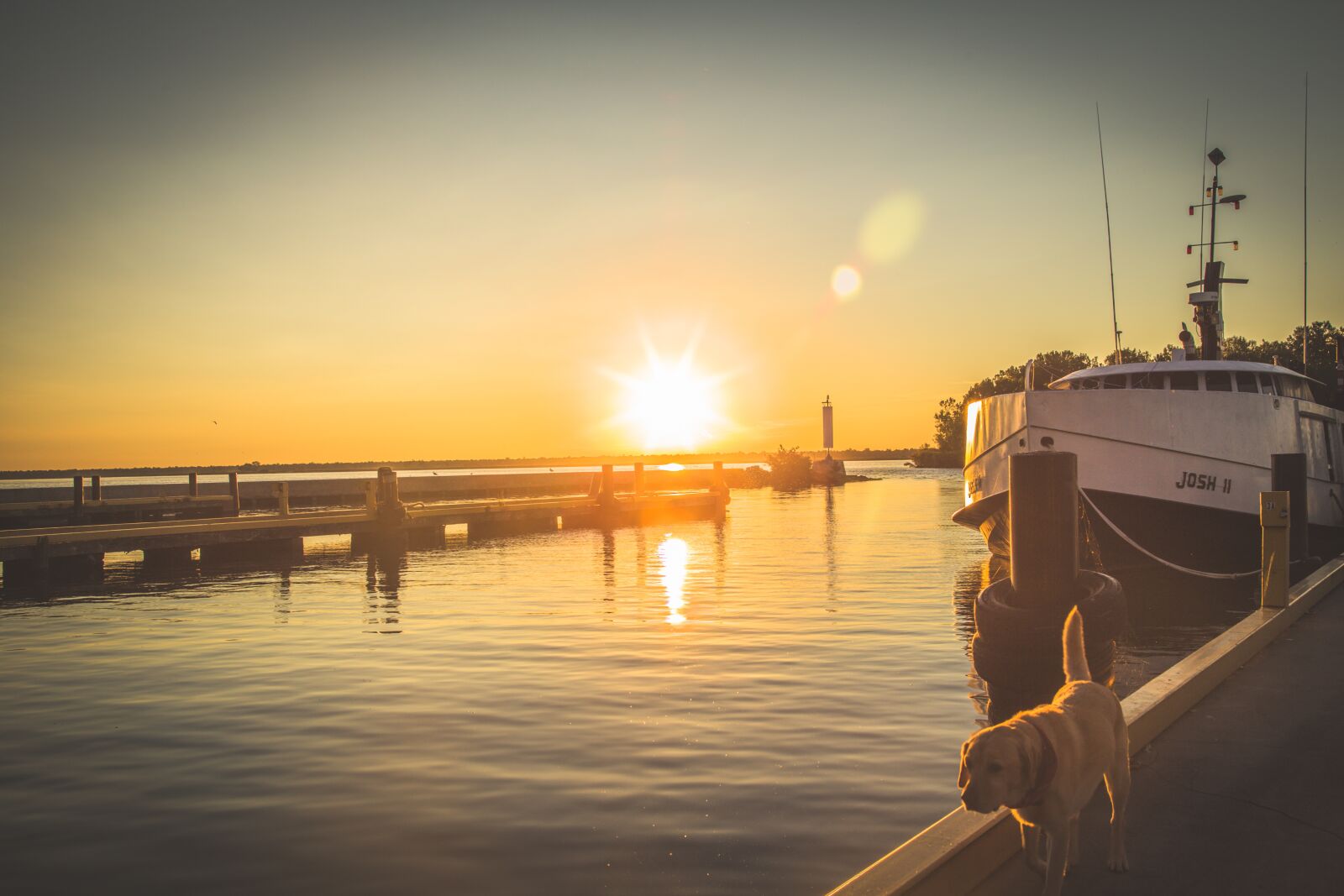 Canon EOS 6D + Canon EF 24-105mm F4L IS USM sample photo. Boat, dock, dog photography