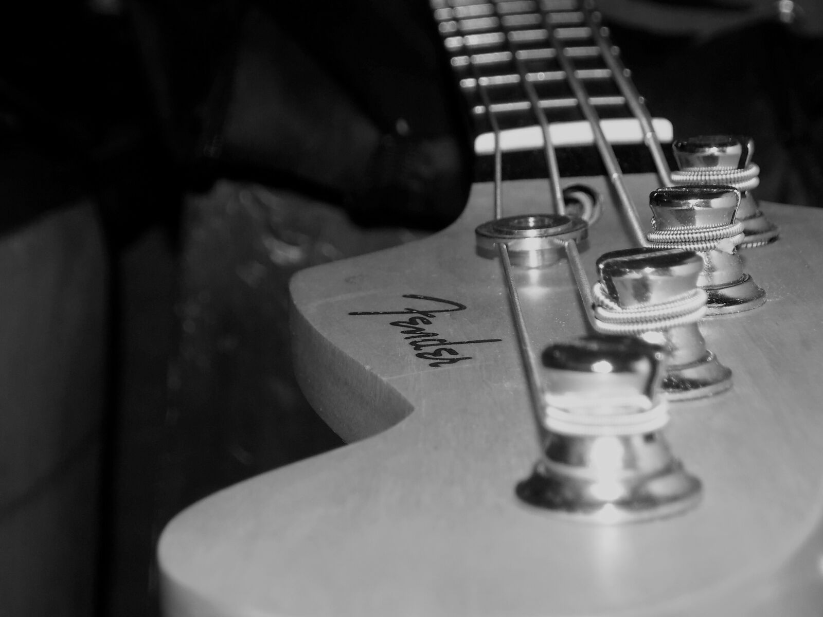 Nikon COOLPIX L340 sample photo. Bass guitar, bass strings photography