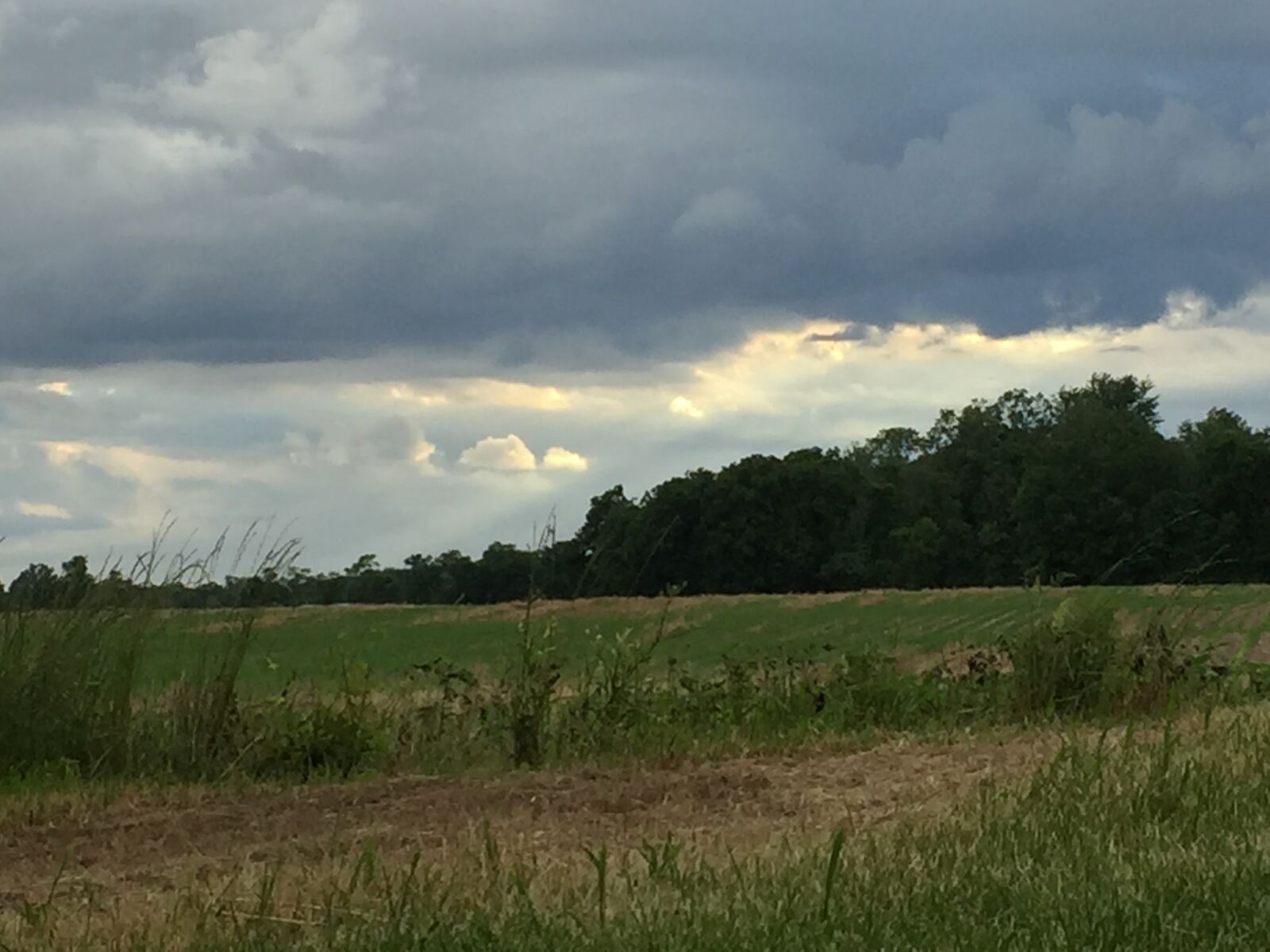 iPhone 6 back camera 4.15mm f/2.2 sample photo. Landscape, sky photography