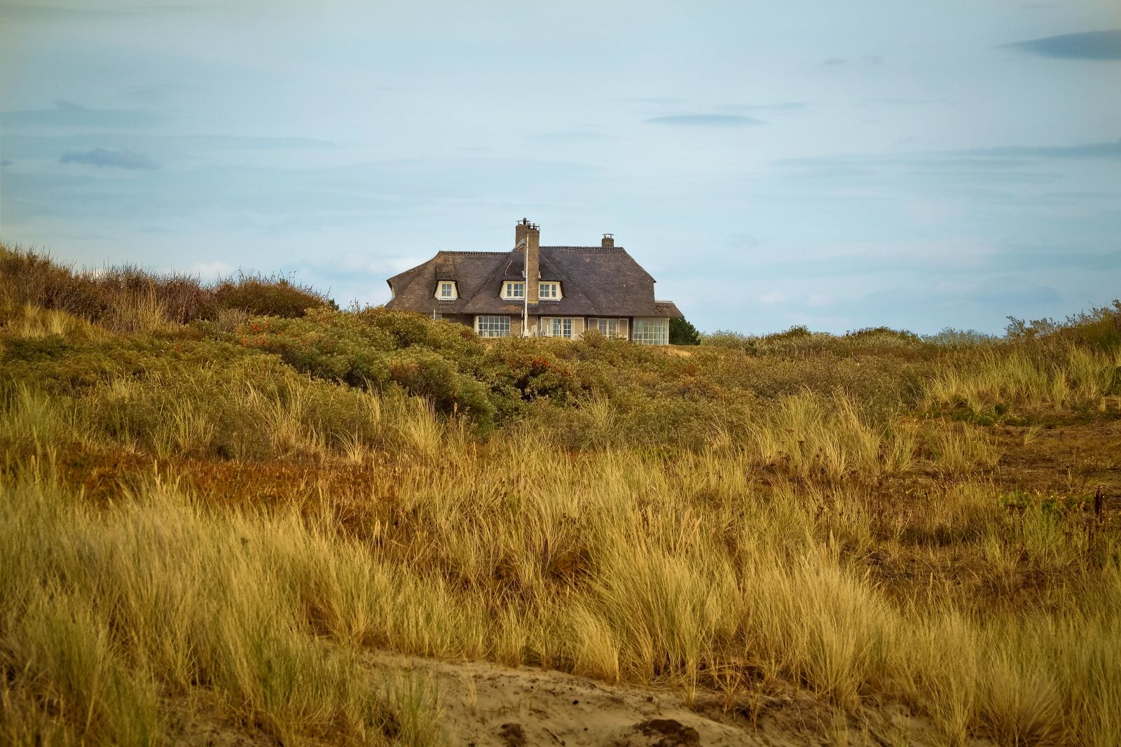 Olympus OM-D E-M10 sample photo. Beach, dune, sand photography