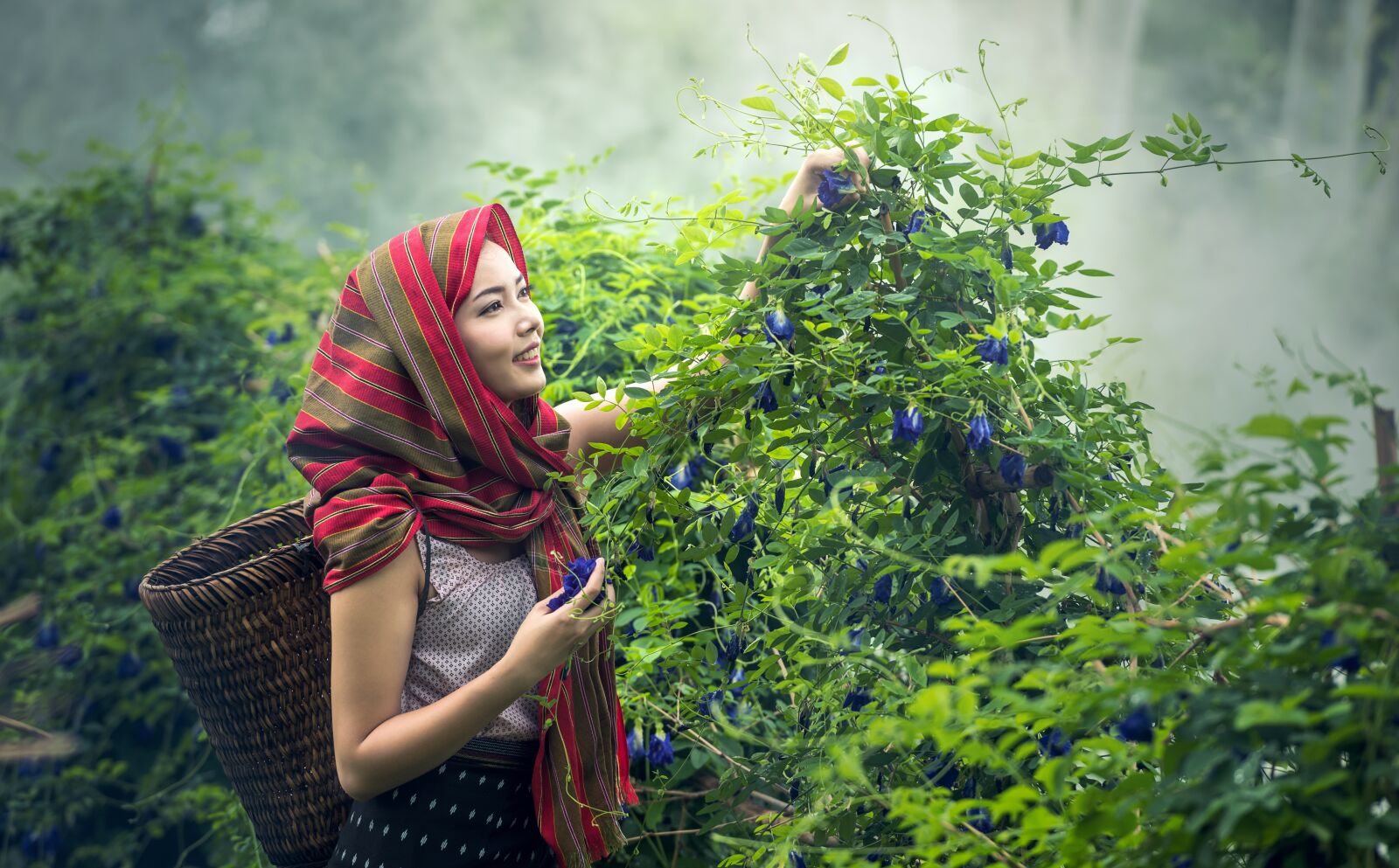 Nikon D810 sample photo. Agriculture, cambodia, culture photography