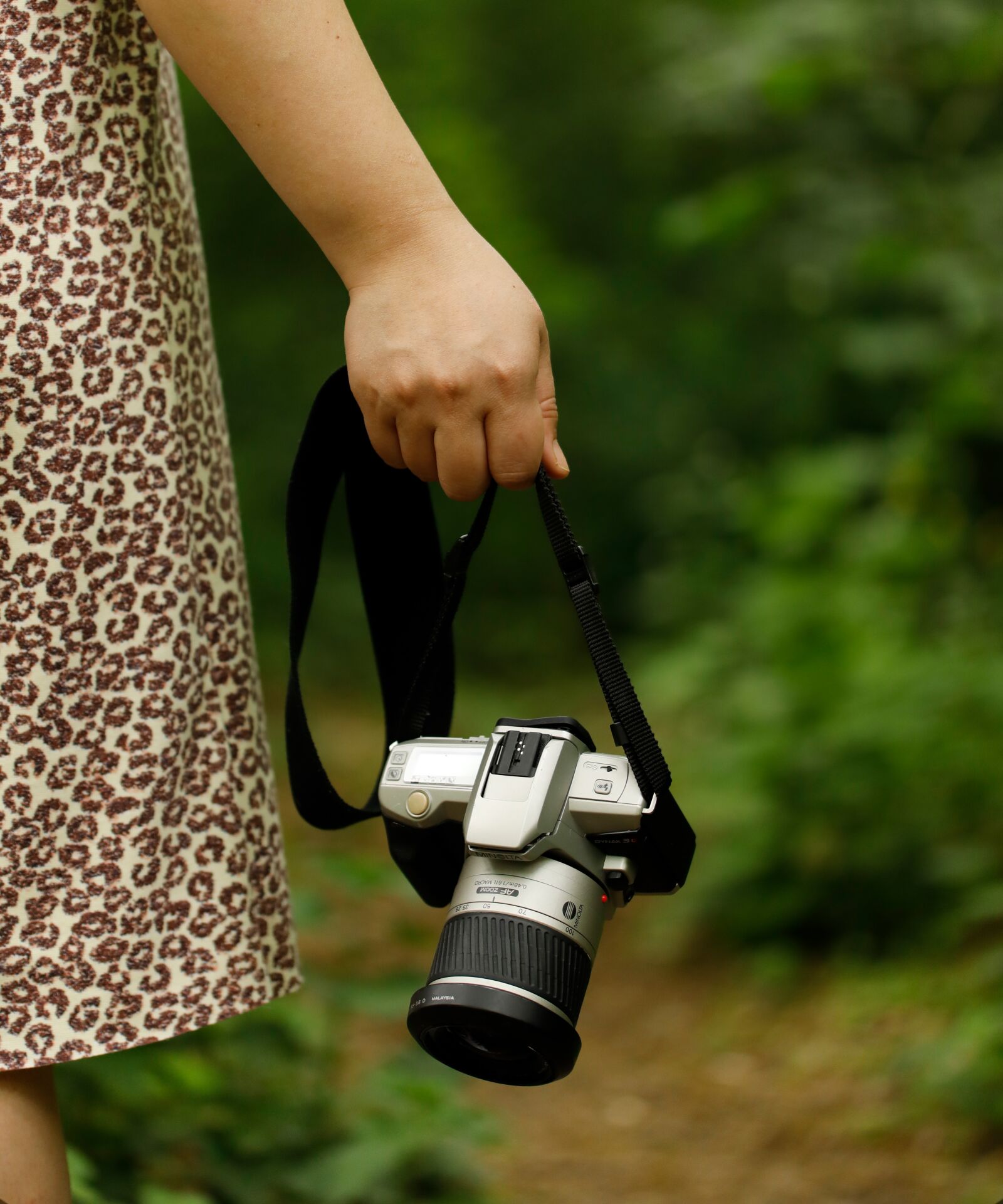 Canon EOS 5D Mark IV sample photo. Camera, forest, photographer photography
