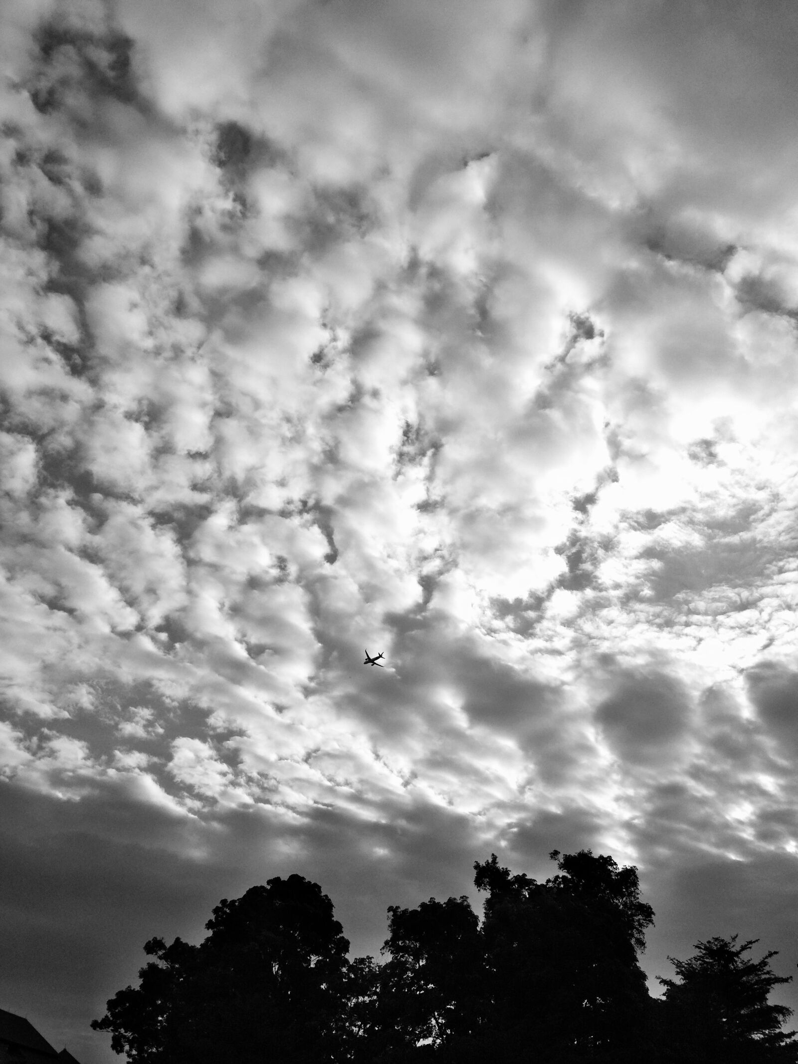 Xiaomi Redmi 4X sample photo. Airplane, gray, sky, indonesia photography