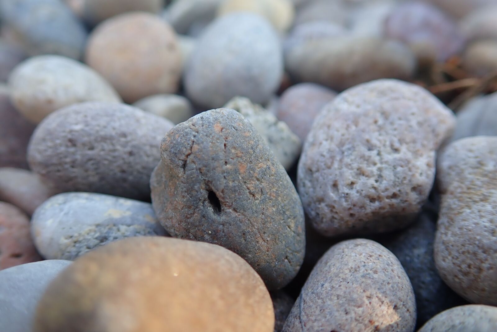 Olympus TG-5 sample photo. Stones, dry, hard photography