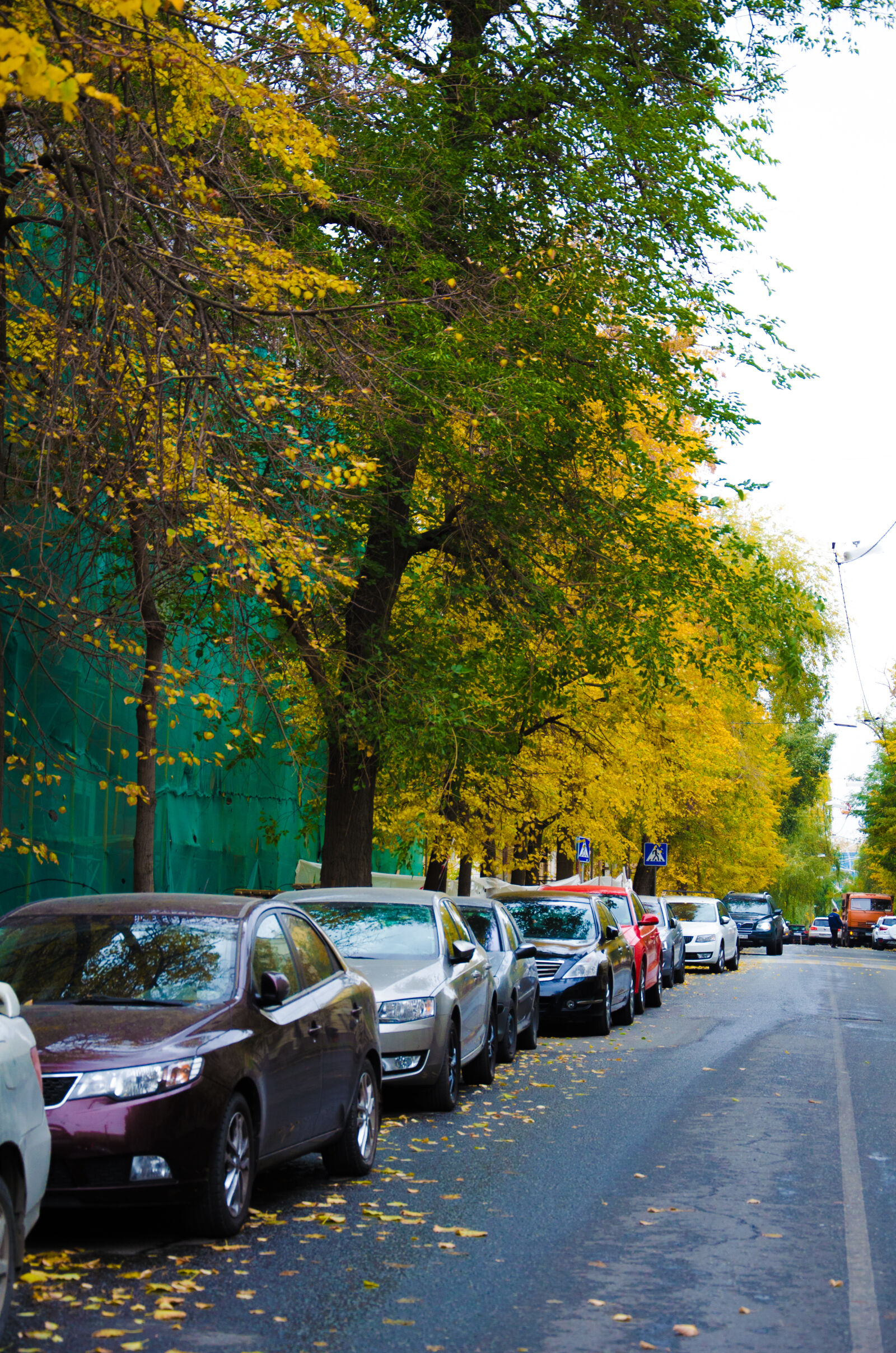 Nikon D5100 sample photo