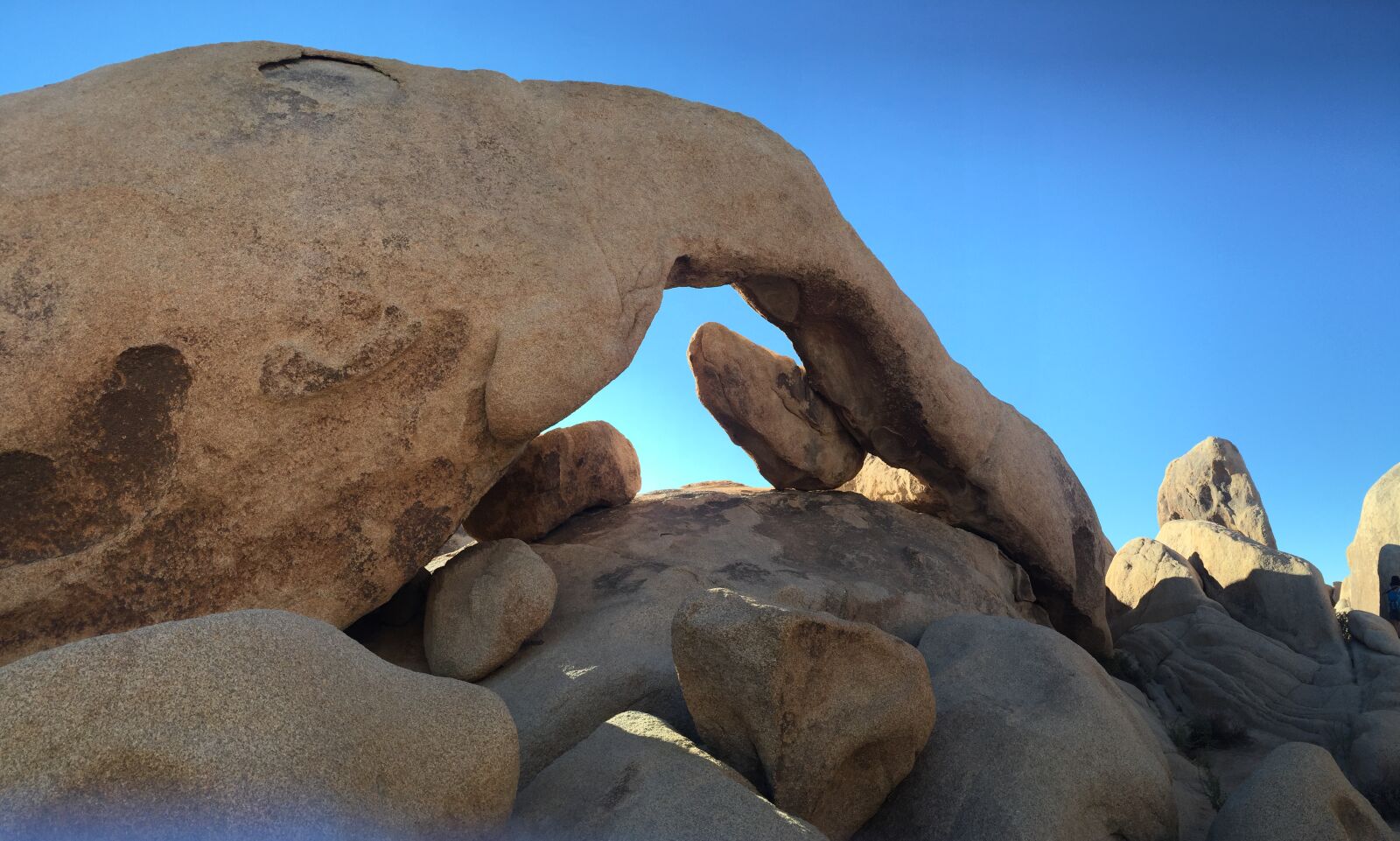 iPhone 6 back camera 4.15mm f/2.2 sample photo