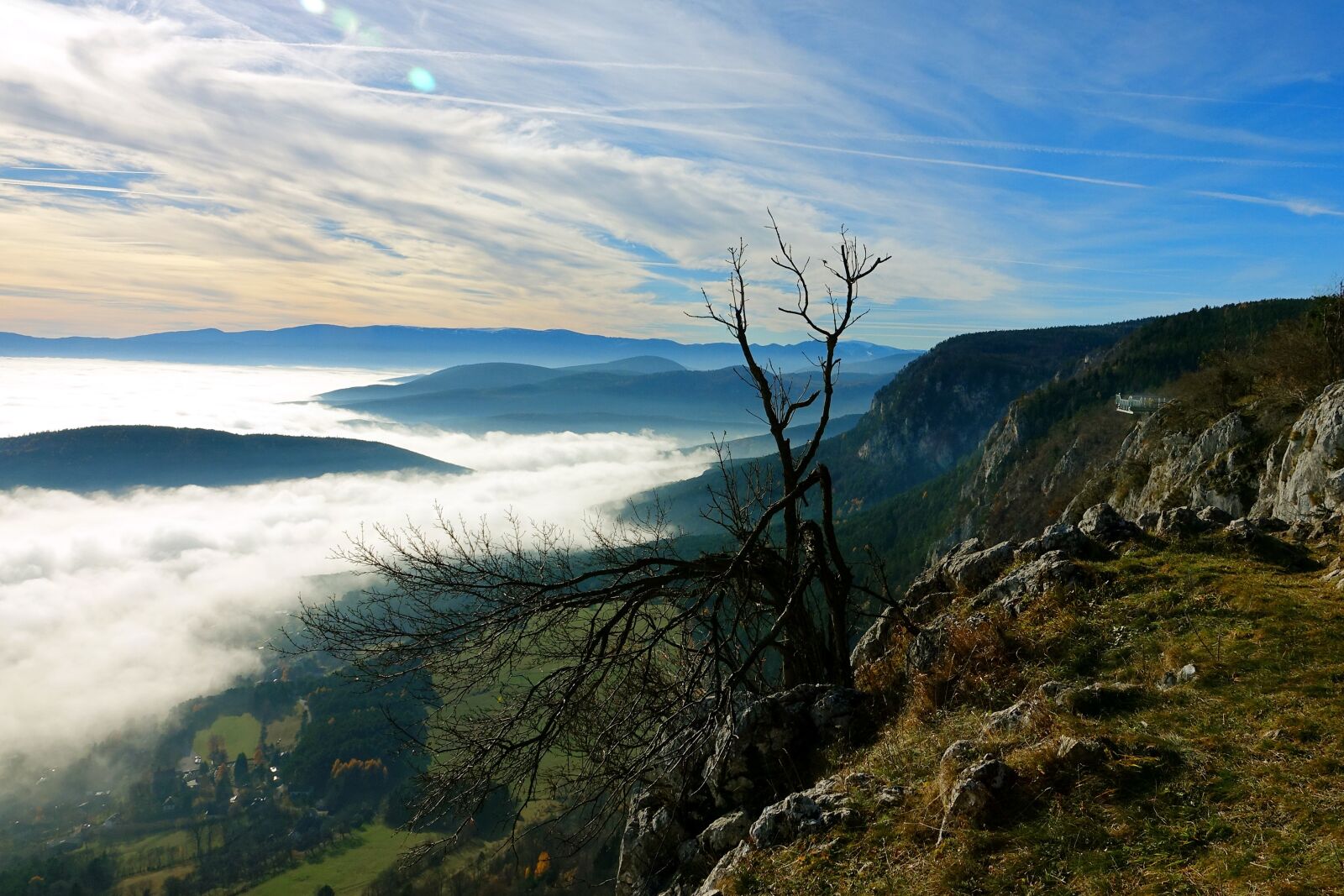 Sony Cyber-shot DSC-RX10 III sample photo. Fog, autumn, landscape photography