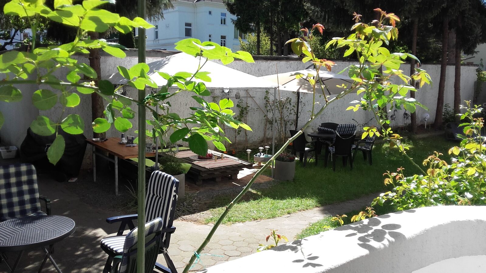 Samsung Galaxy Grand Prime sample photo. Garden, pavilion, roses photography