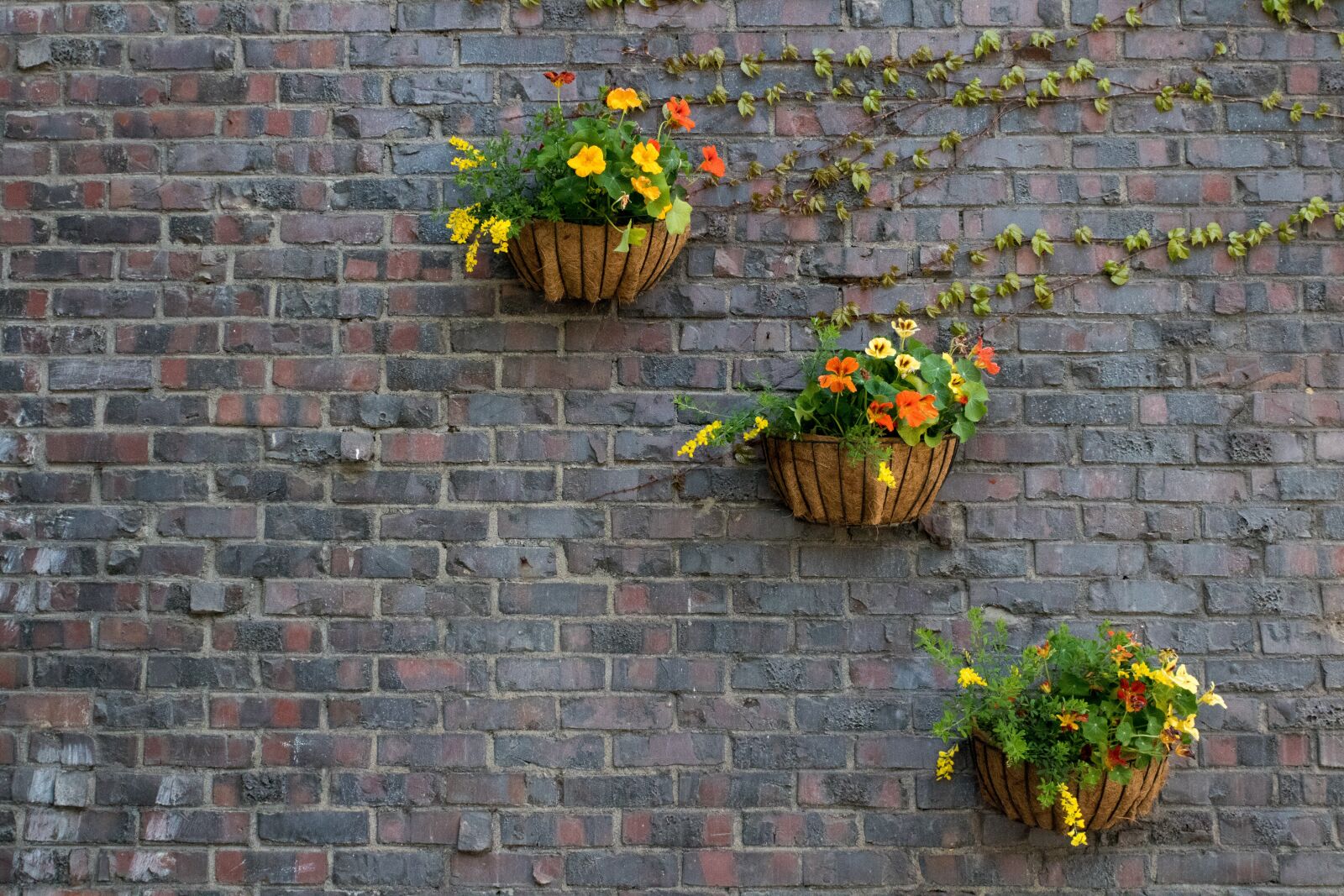 Canon EOS 750D (EOS Rebel T6i / EOS Kiss X8i) sample photo. Brick, wall, stone photography