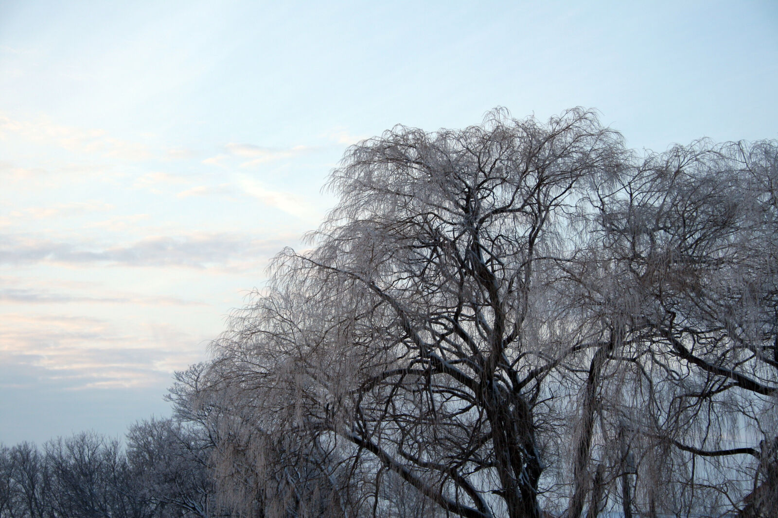 Canon EOS 20D sample photo