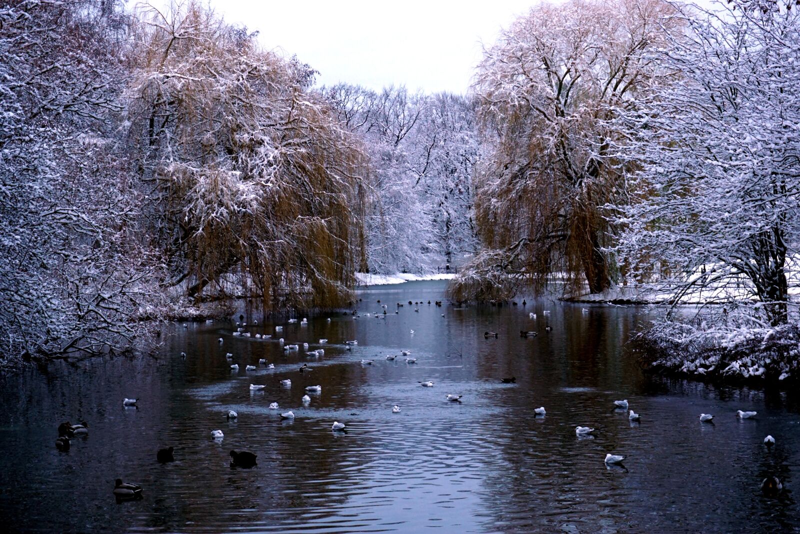 Sony a6000 sample photo. Malmö, winter, sweden photography