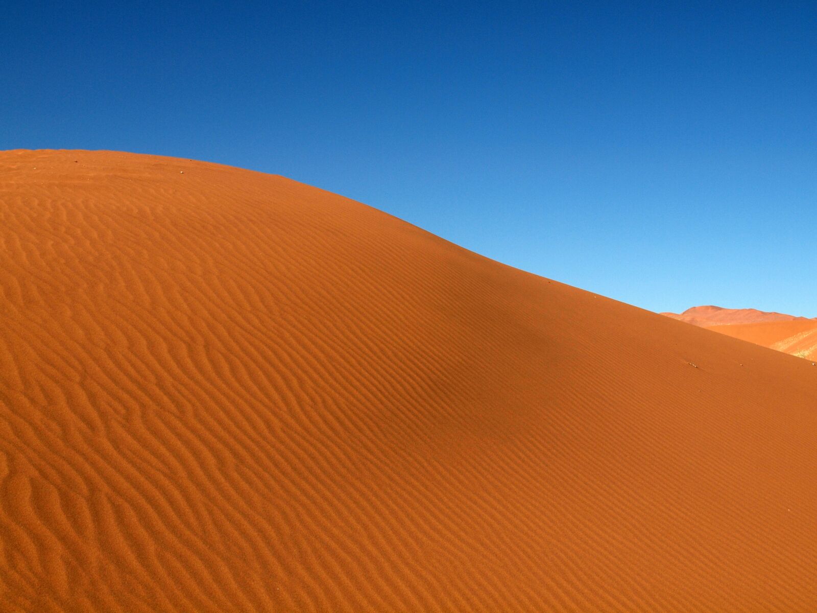 Olympus E-620 (EVOLT E-620) sample photo. Sand, desert, sand dune photography