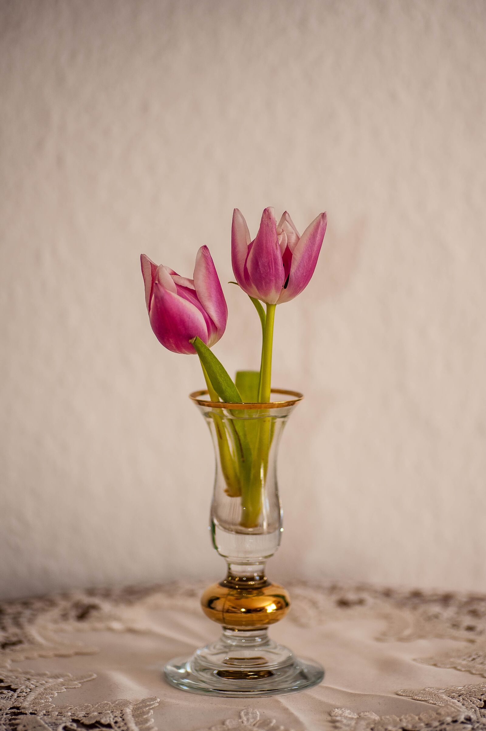 Nikon D700 sample photo. Flower, vase, still life photography