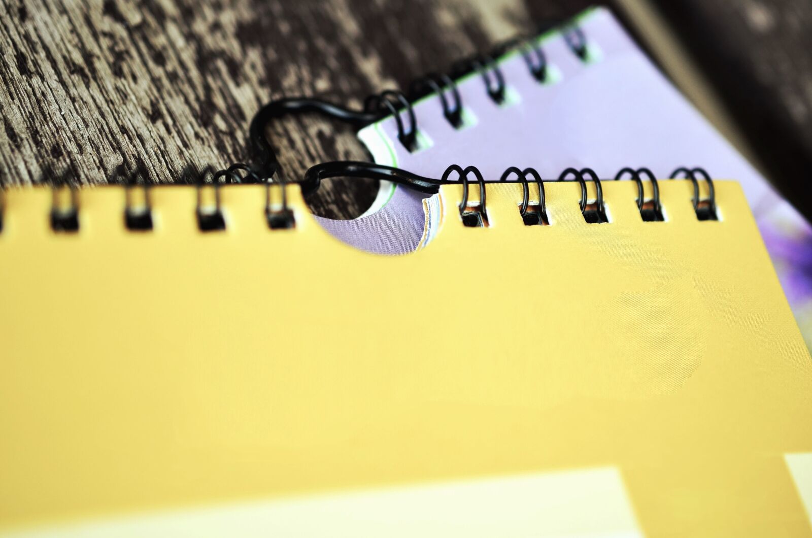 Nikon D5100 sample photo. Book, paper, record, table photography