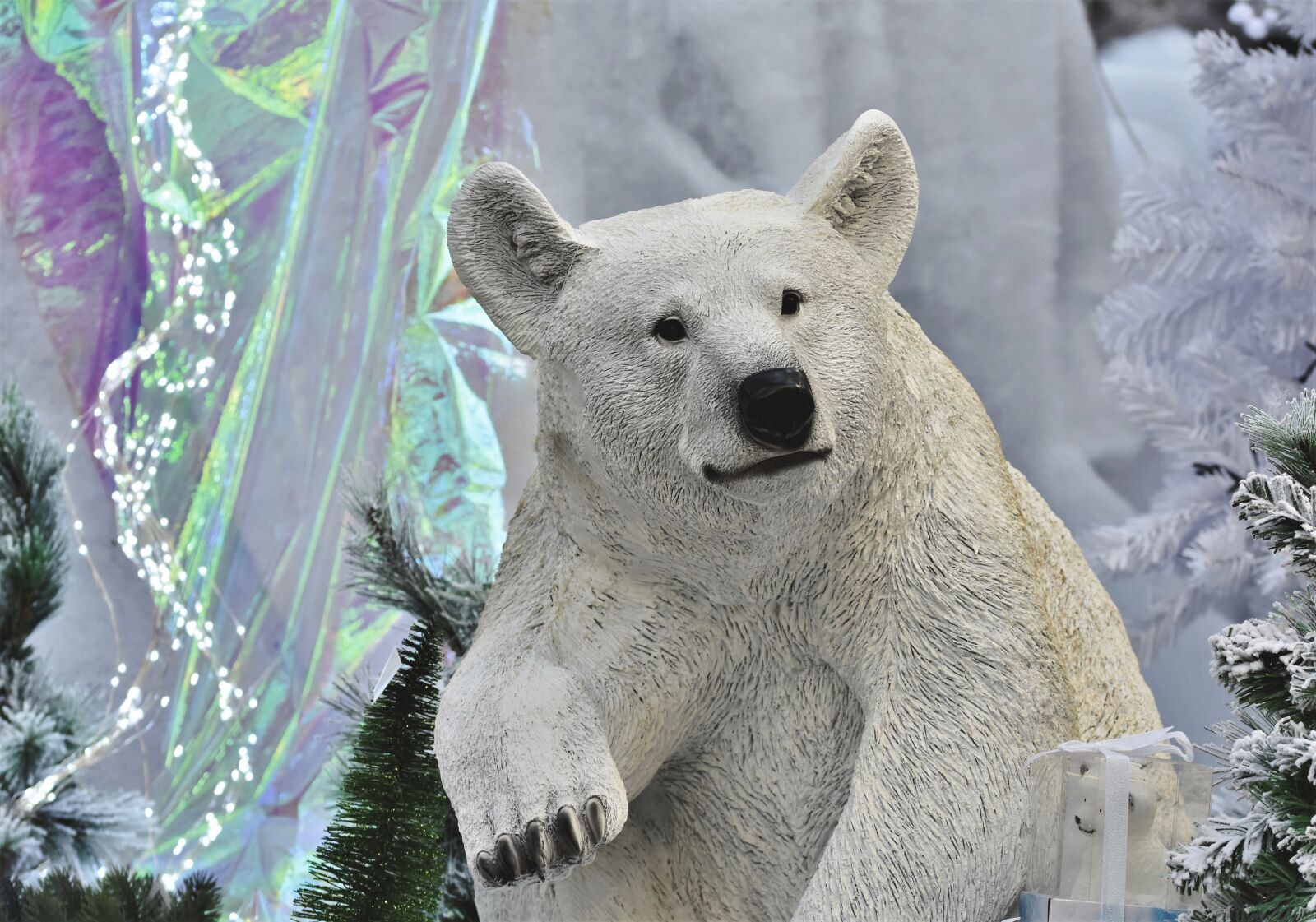 Nikon D7200 sample photo. Polar bear, polar bear photography
