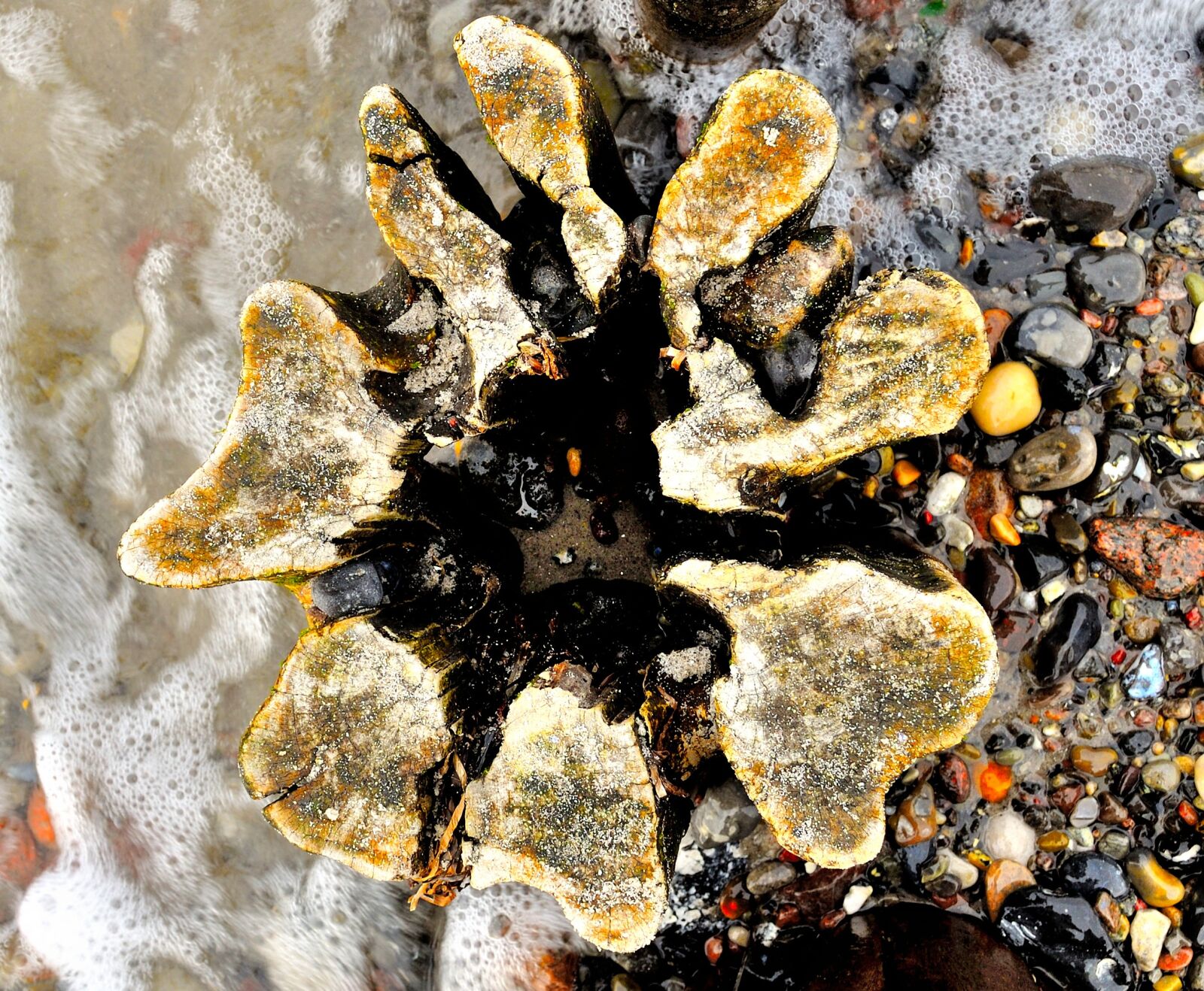 Nikon D5000 sample photo. Sea, baltic sea, nature photography