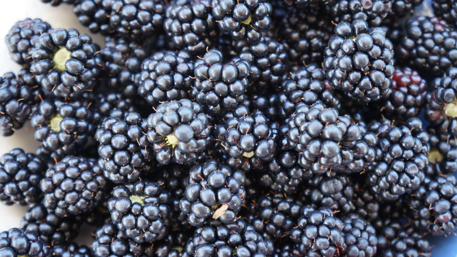 Sony Alpha a3000 + Sony E 18-55mm F3.5-5.6 OSS sample photo. Blackberries, fruits, sweet photography