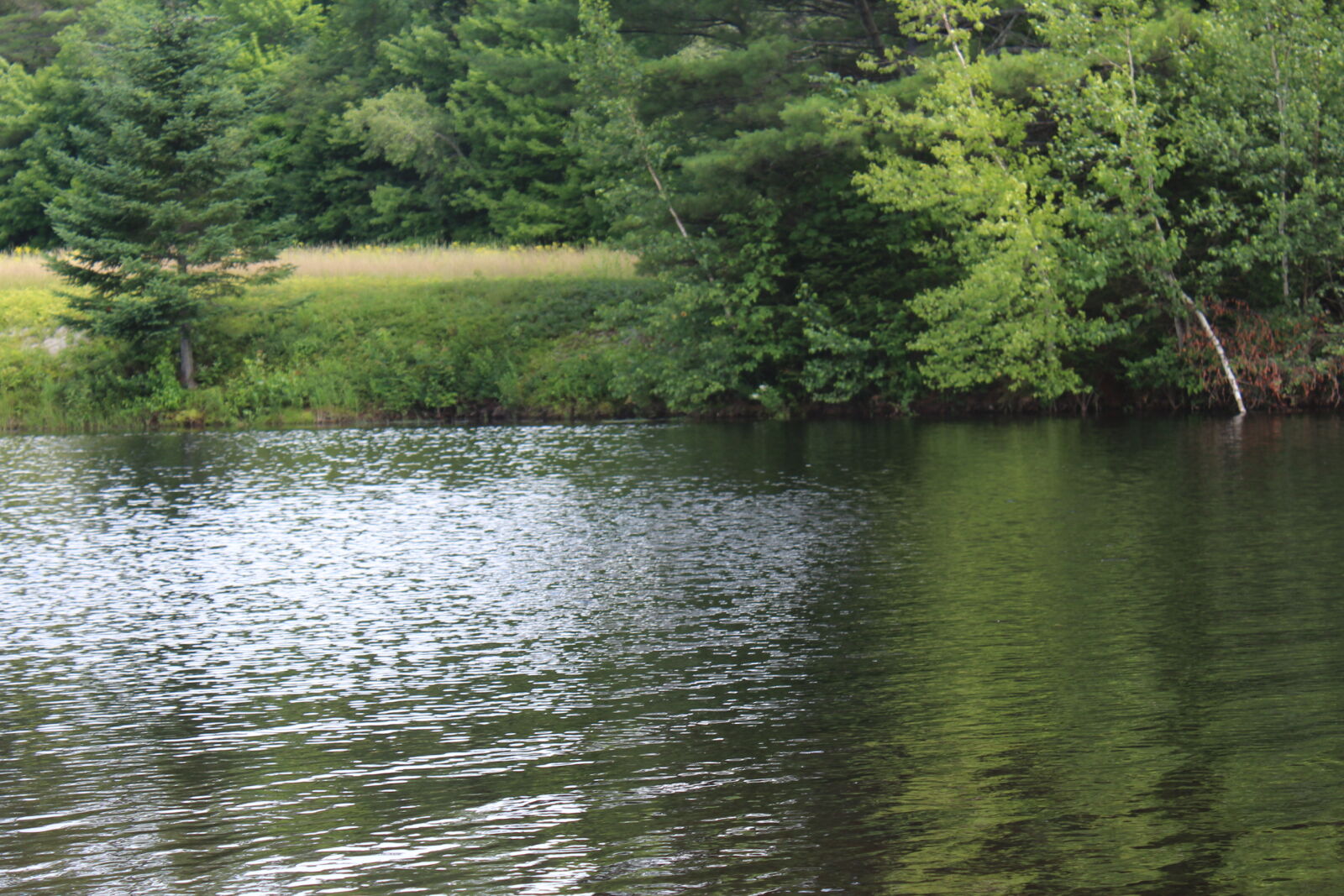 Canon EOS 1200D (EOS Rebel T5 / EOS Kiss X70 / EOS Hi) sample photo. Forest, lake, new, hampshire photography