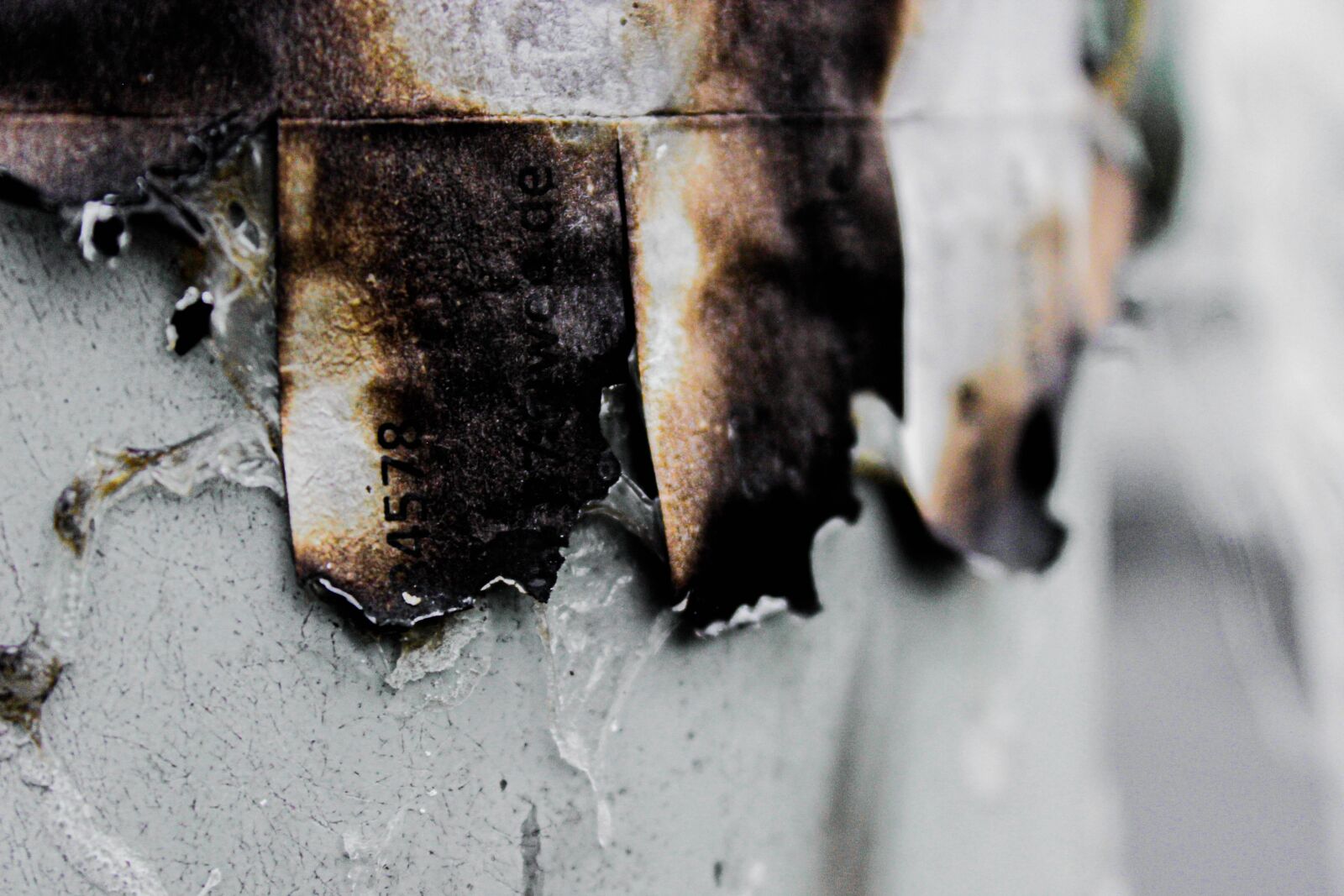 Canon EOS 600D (Rebel EOS T3i / EOS Kiss X5) sample photo. Fire, burned, paper photography