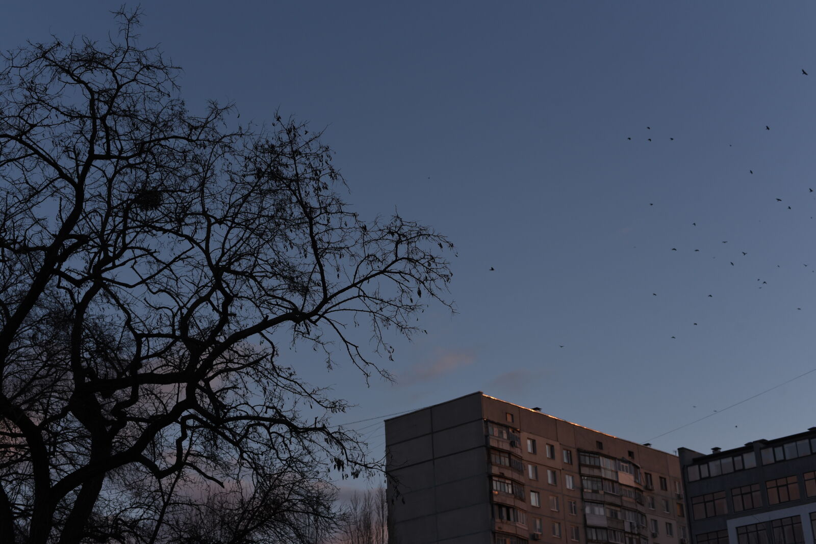 Nikon D750 + Nikon AF-S Nikkor 50mm F1.8G sample photo