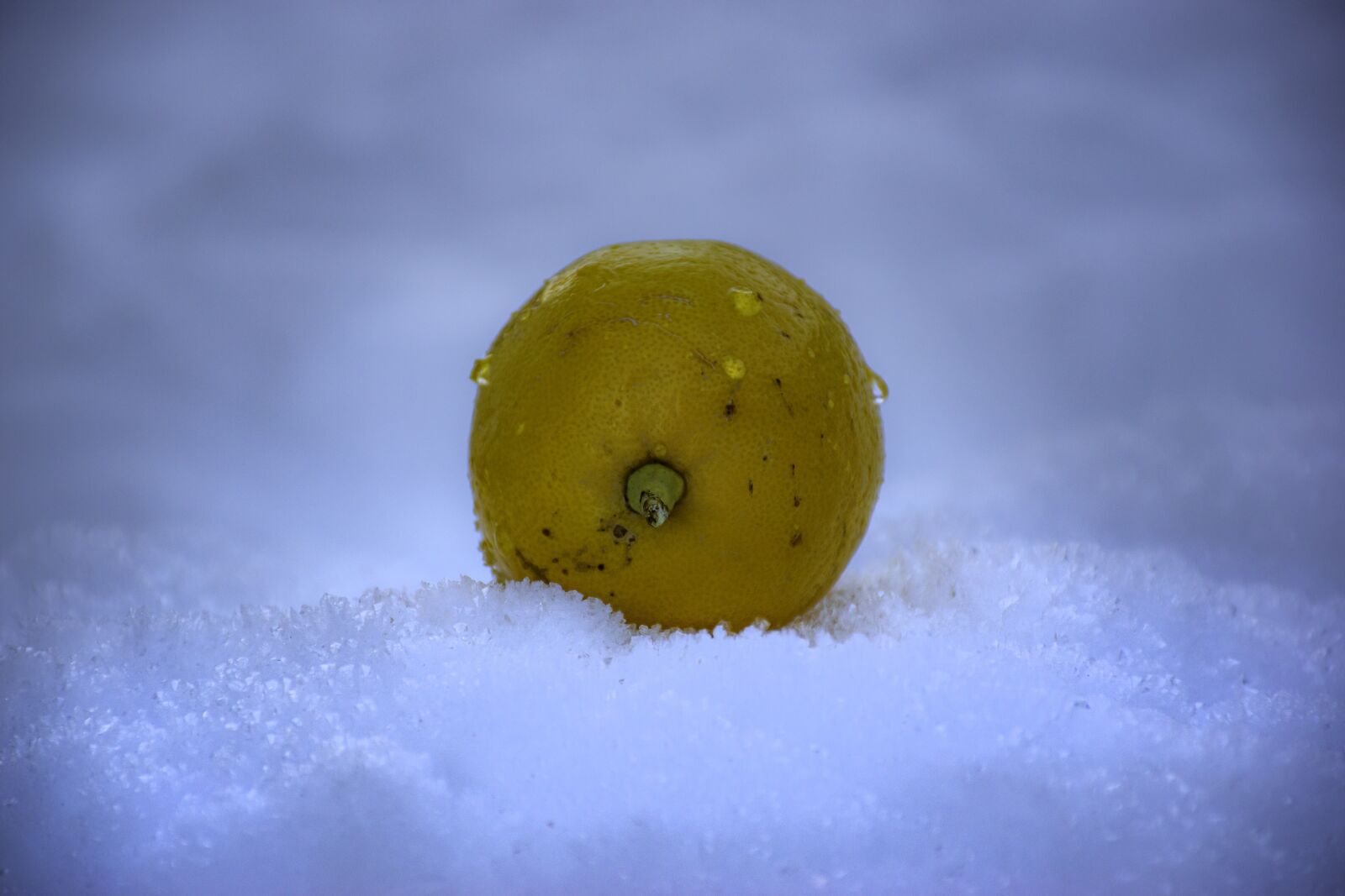 Nikon D5600 sample photo. Lemon, snow, vitamins photography