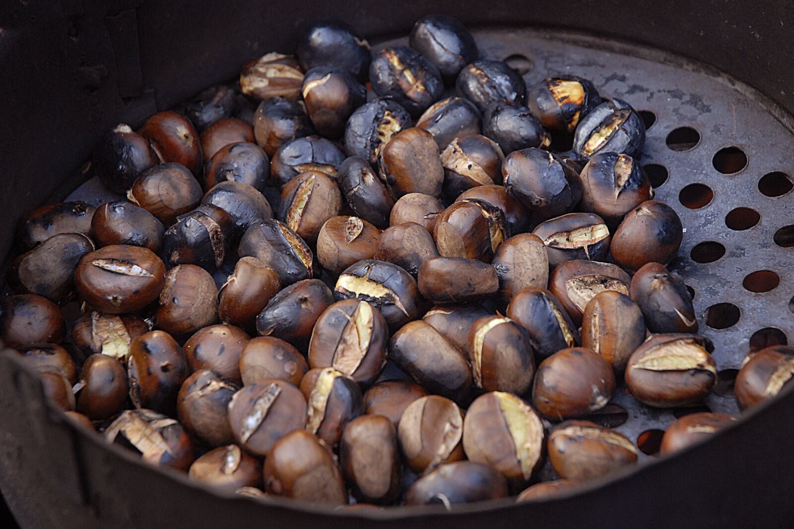 Nikon D200 sample photo. Chestnut, brown, fall photography