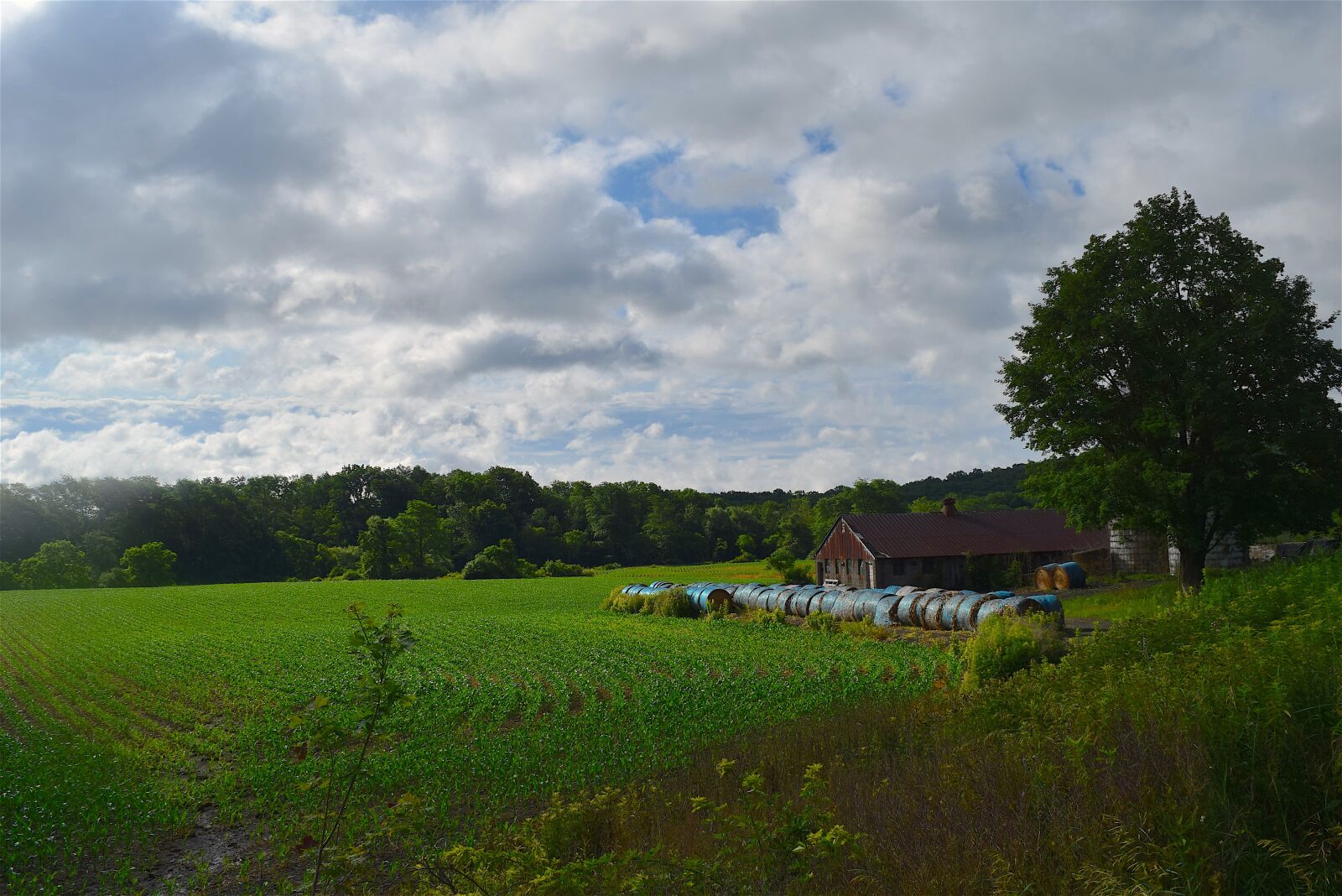 Nikon D3300 sample photo. Farm, landscape, tree photography