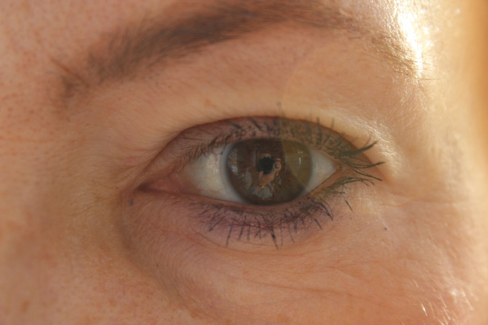 Canon EOS 1200D (EOS Rebel T5 / EOS Kiss X70 / EOS Hi) sample photo. Eye, reflection, green photography