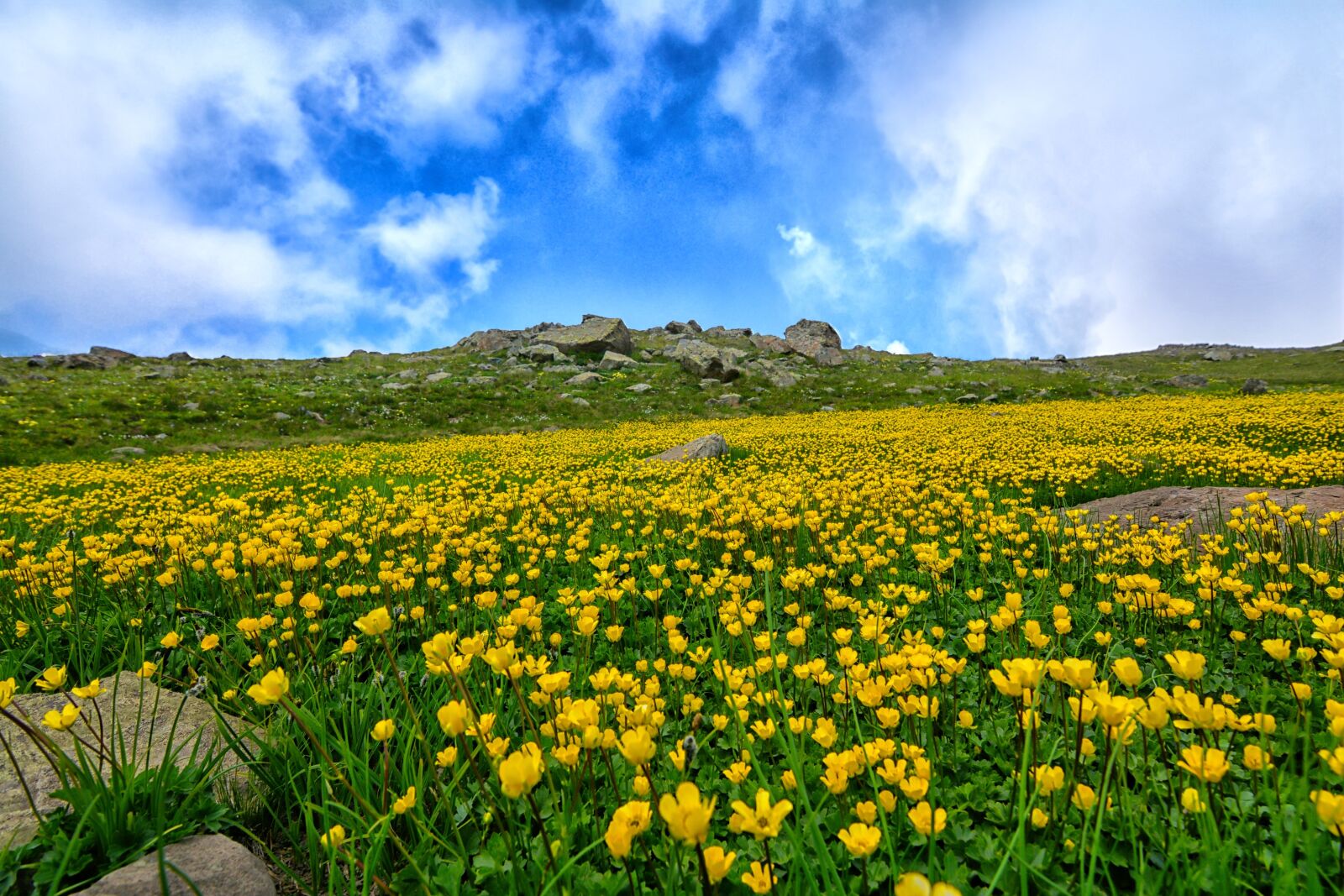 Nikon D7100 sample photo. Nature, area, landscape photography
