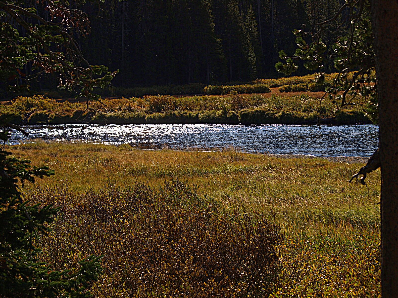 Olympus E-3 sample photo. Yellowstone, river, water photography