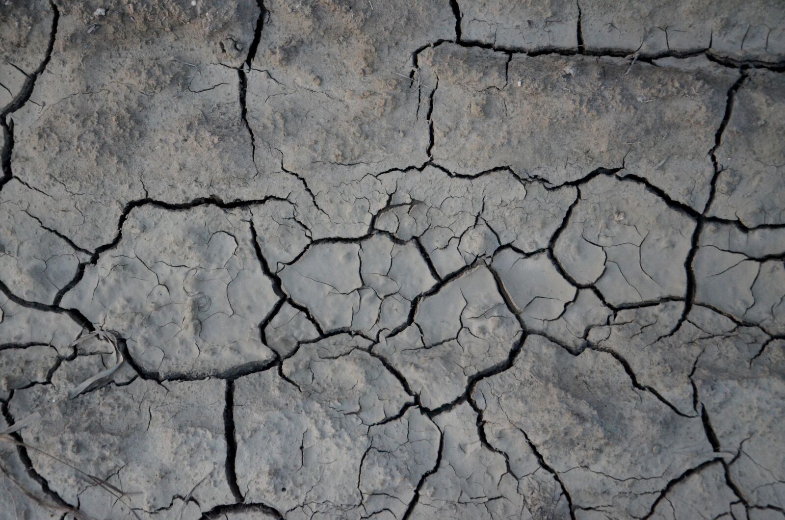 Nikon D7000 sample photo. Earth, the background, texture photography