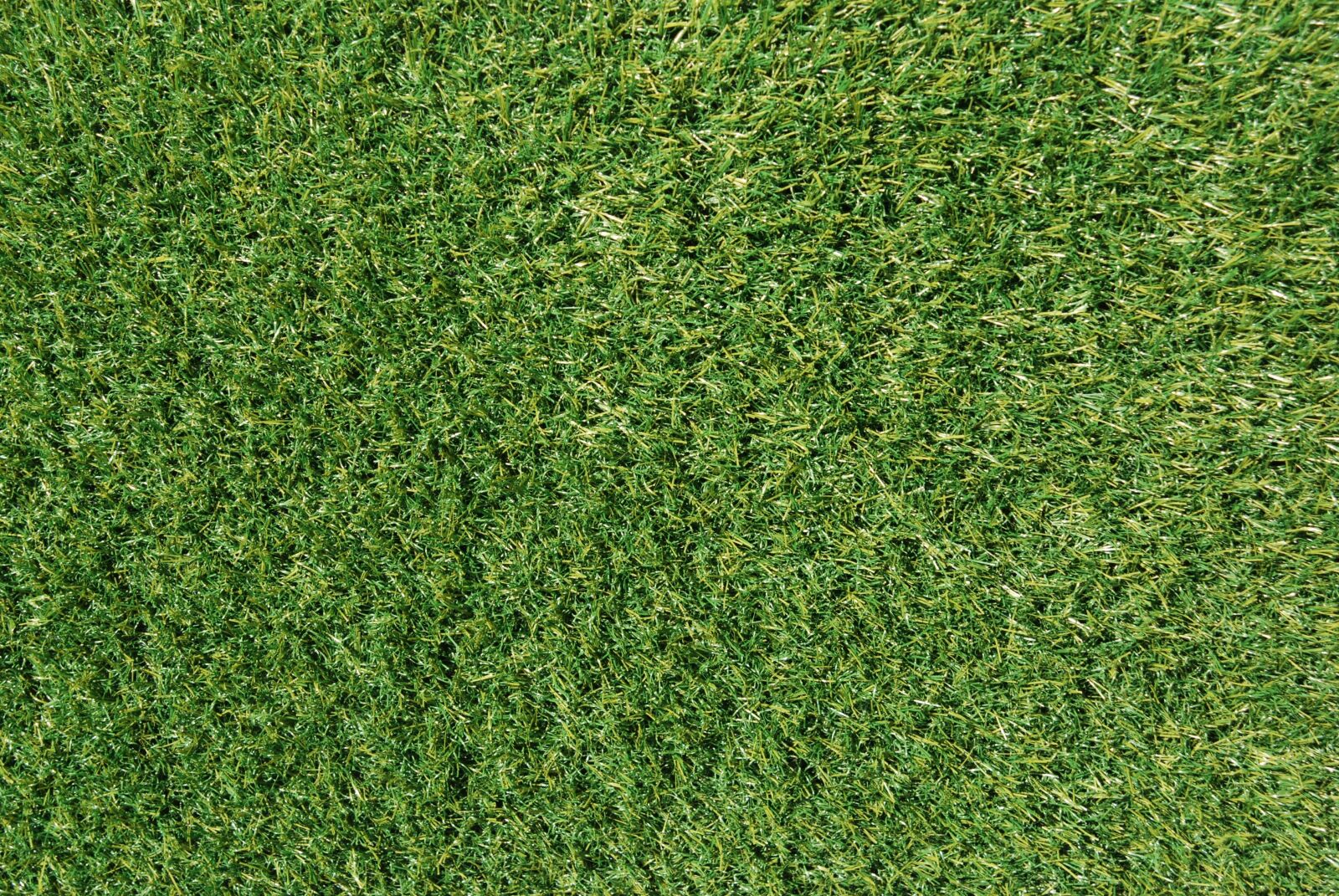 Nikon D80 sample photo. Field, lawn, green photography