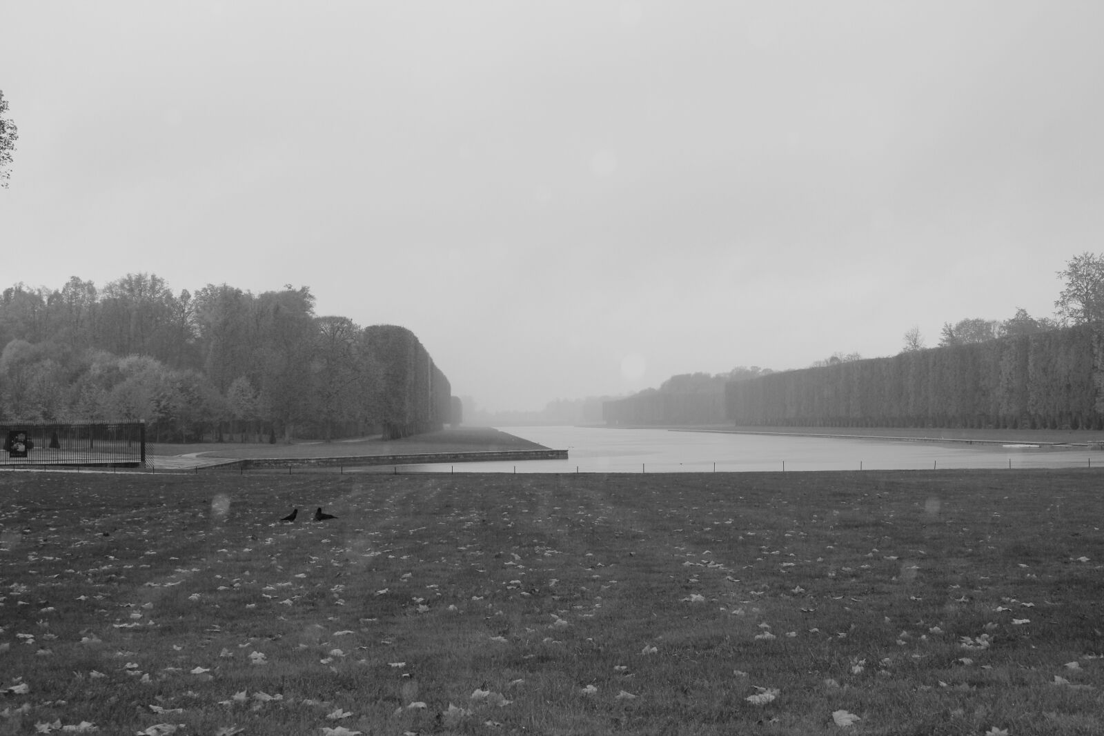 Canon EOS 600D (Rebel EOS T3i / EOS Kiss X5) sample photo. Park, lake, nature photography