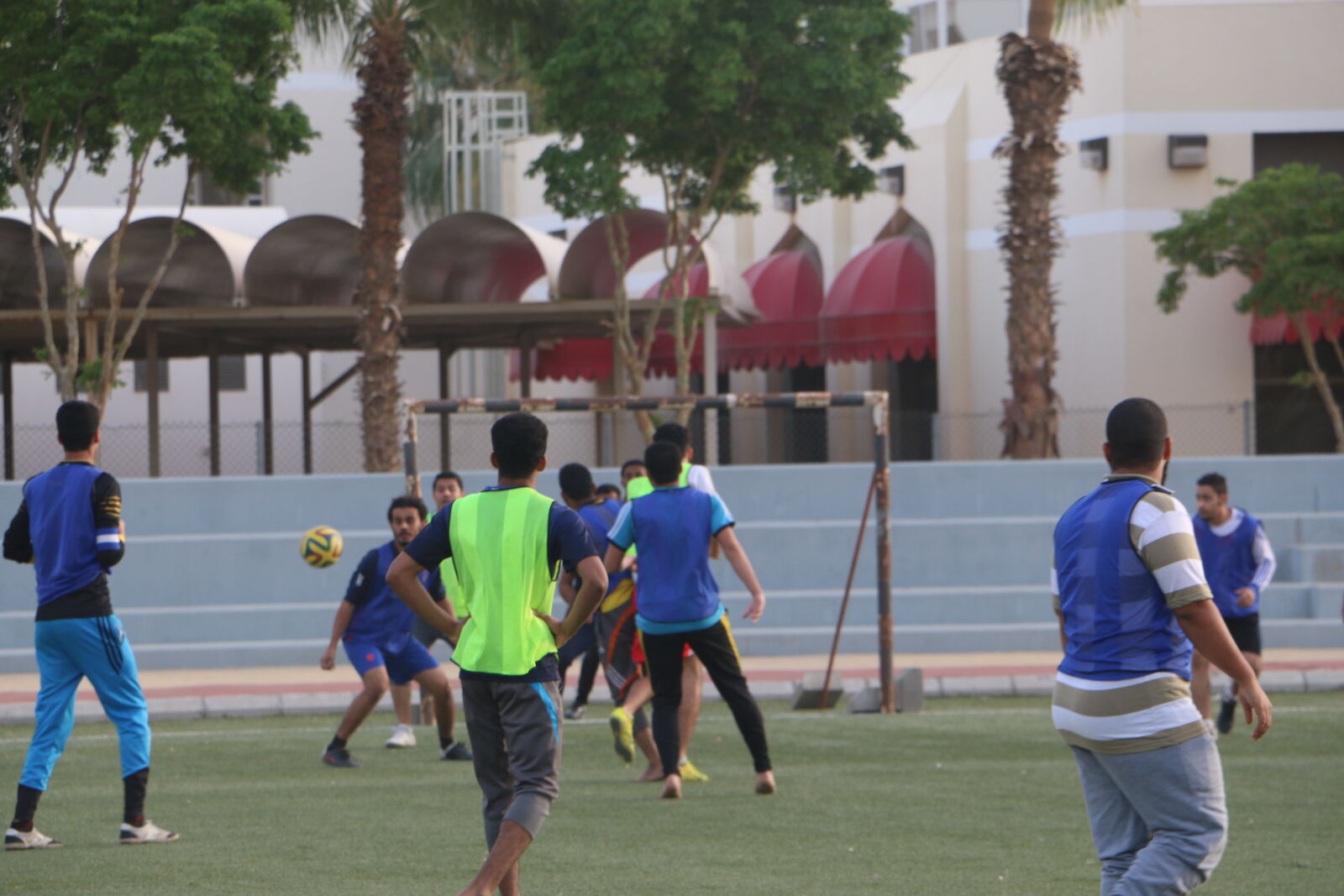 Canon EOS 70D sample photo