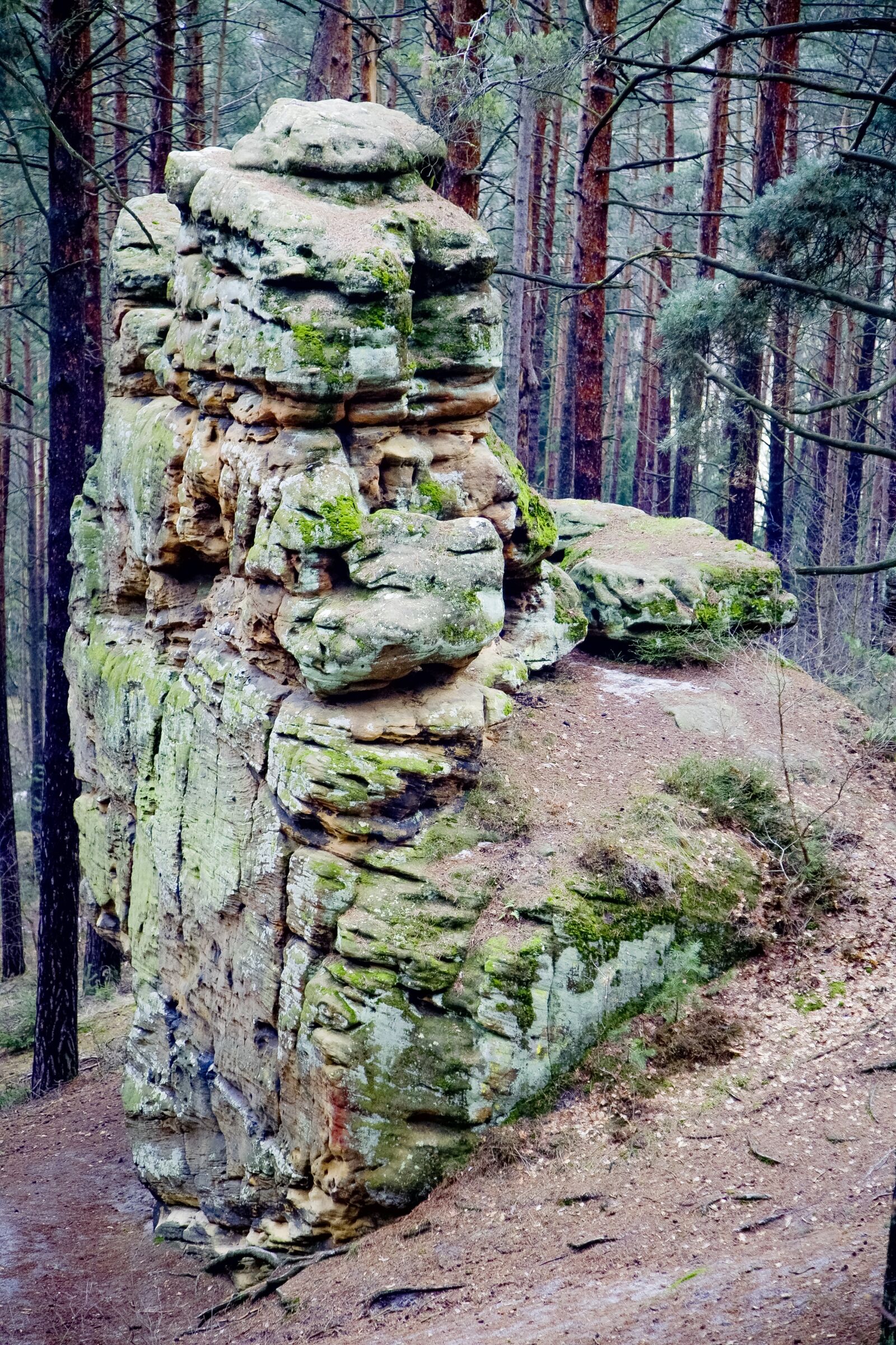 Canon EOS 5D + Canon EF 24-105mm F4L IS USM sample photo. Rock, forest, stones photography