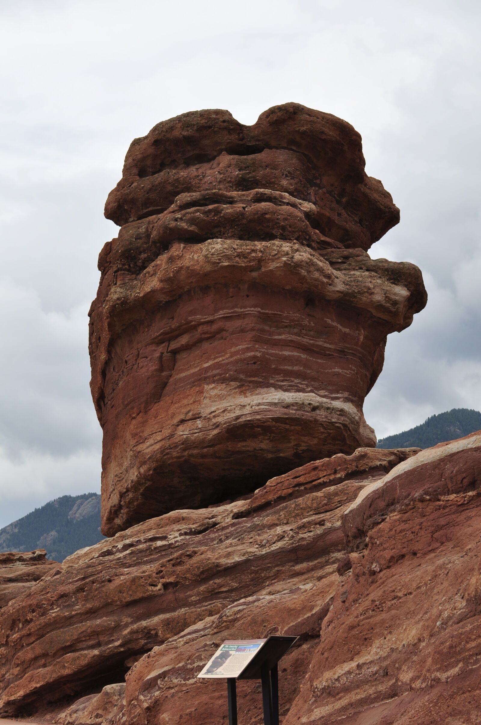 Nikon D90 sample photo. Garden of the golds photography