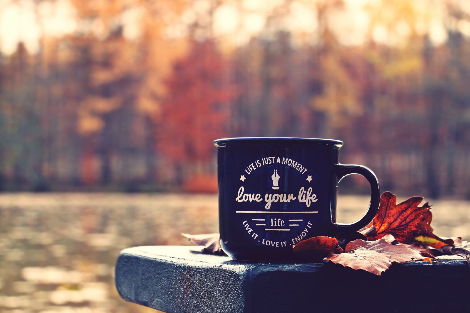 Canon EOS 100D (EOS Rebel SL1 / EOS Kiss X7) sample photo. Autumn, forest, cup photography