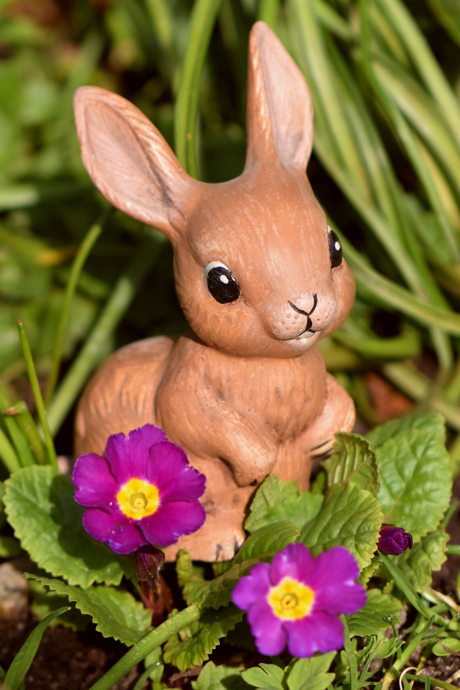 Nikon D5600 sample photo. Easter, easter bunny, bunny photography