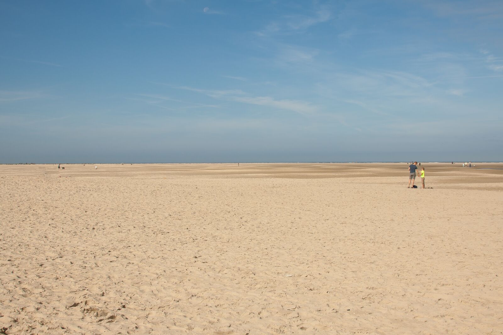 Canon EOS 50D + Canon EF 24-105mm F4L IS USM sample photo. Wave, beach, sand photography